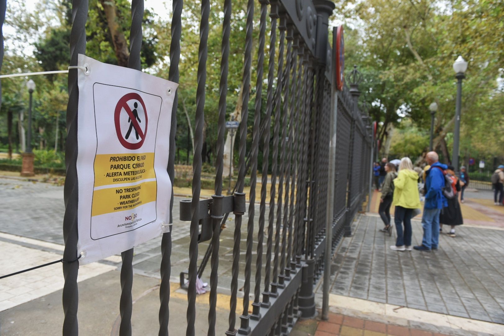 Así está el parque de María Luisa este lunes.