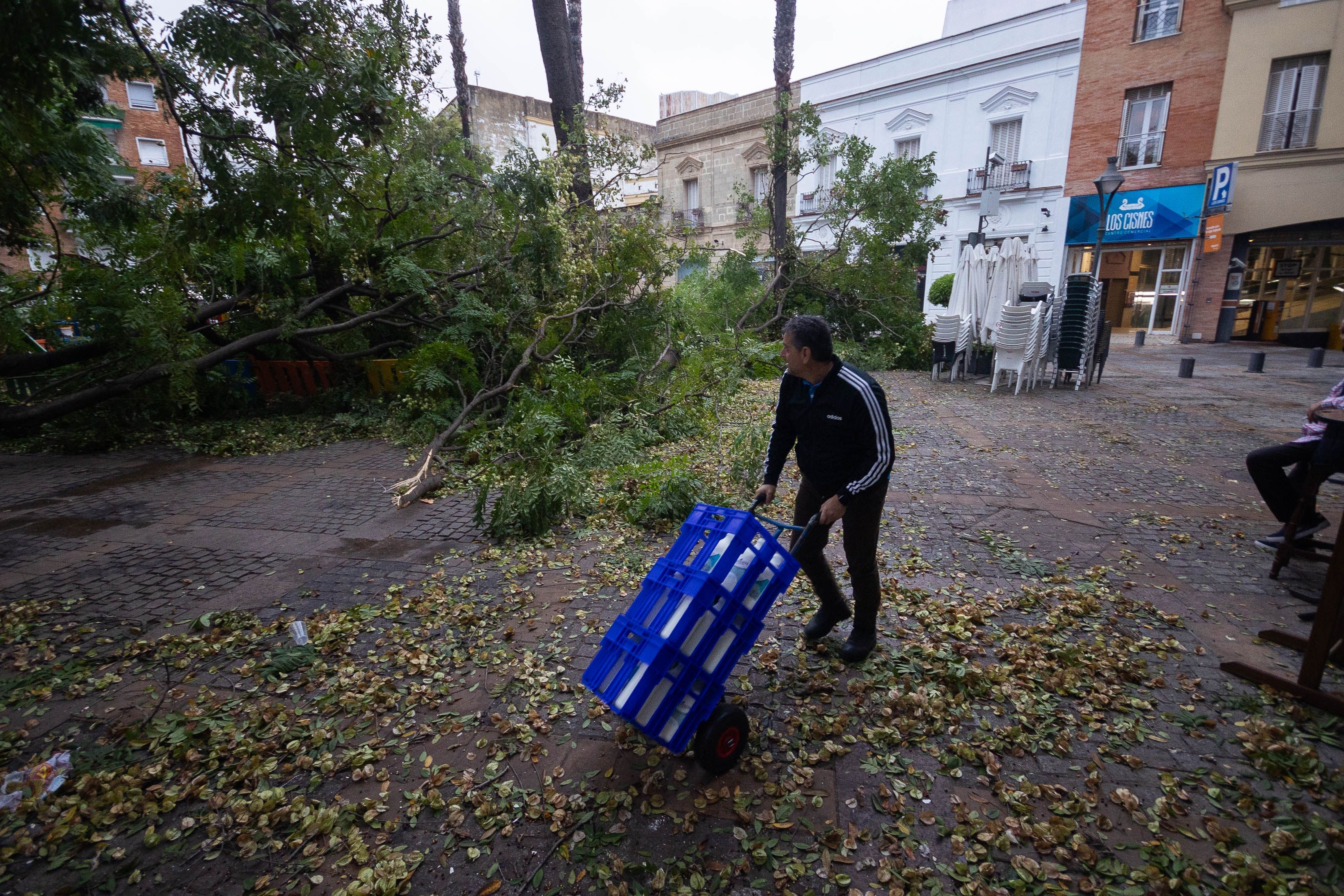 La resaca del paso de ‘Bernard’ por Jerez