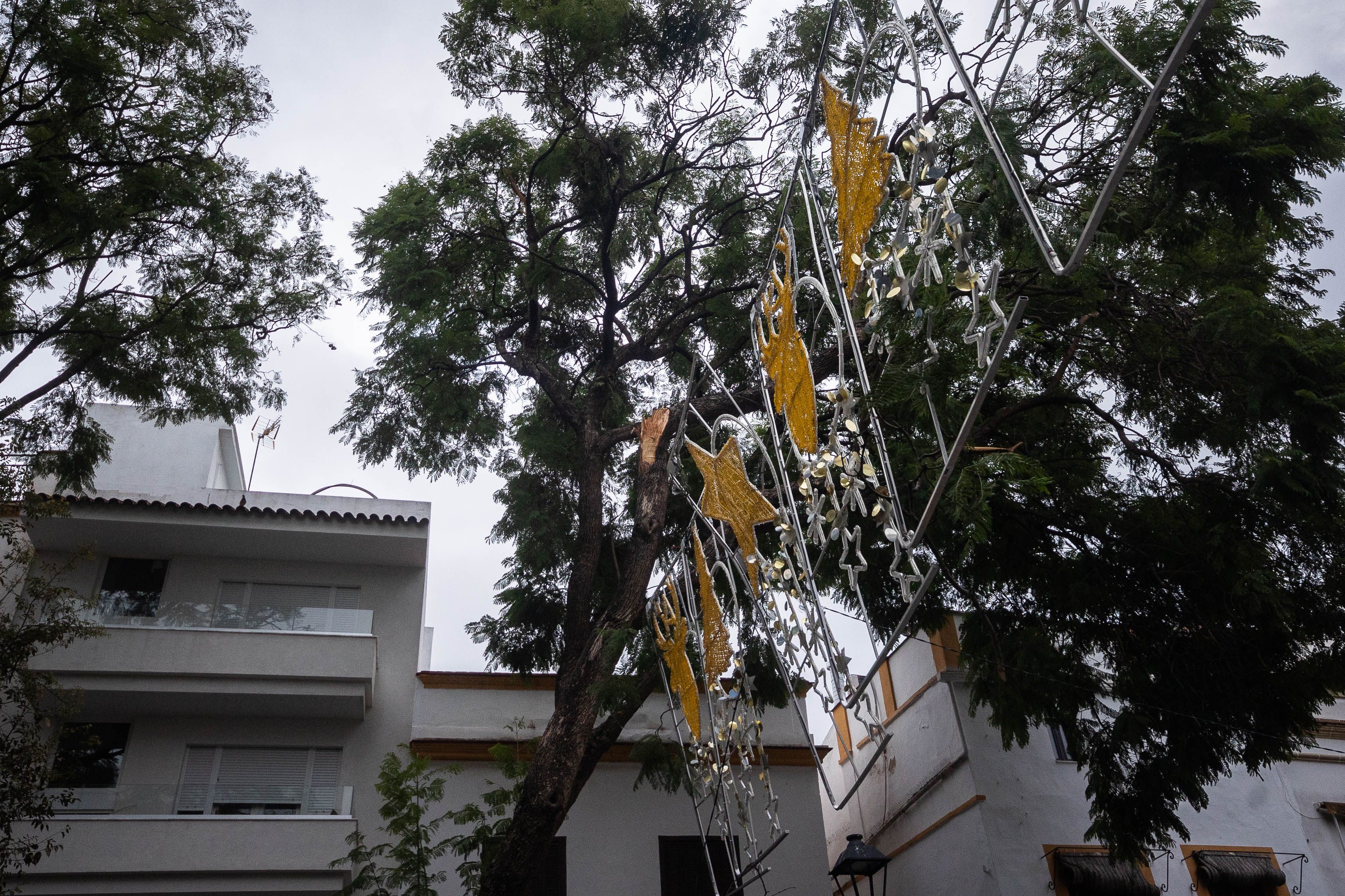 La resaca del paso de 'Bernard' por Jerez
