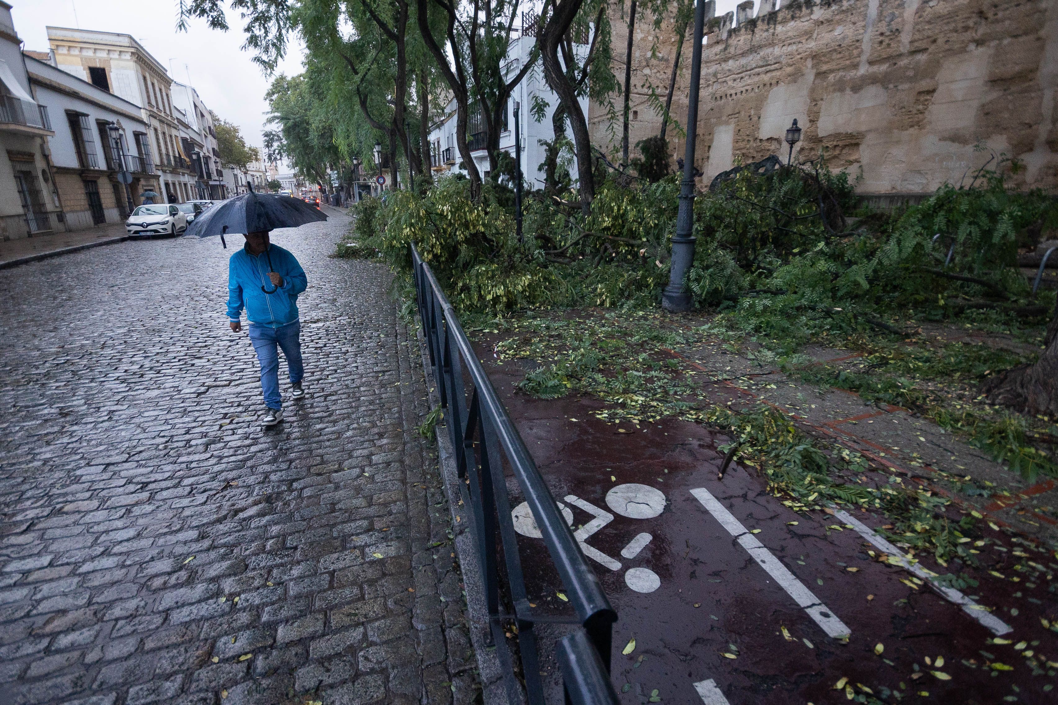 La resaca del paso de 'Bernard' por Jerez