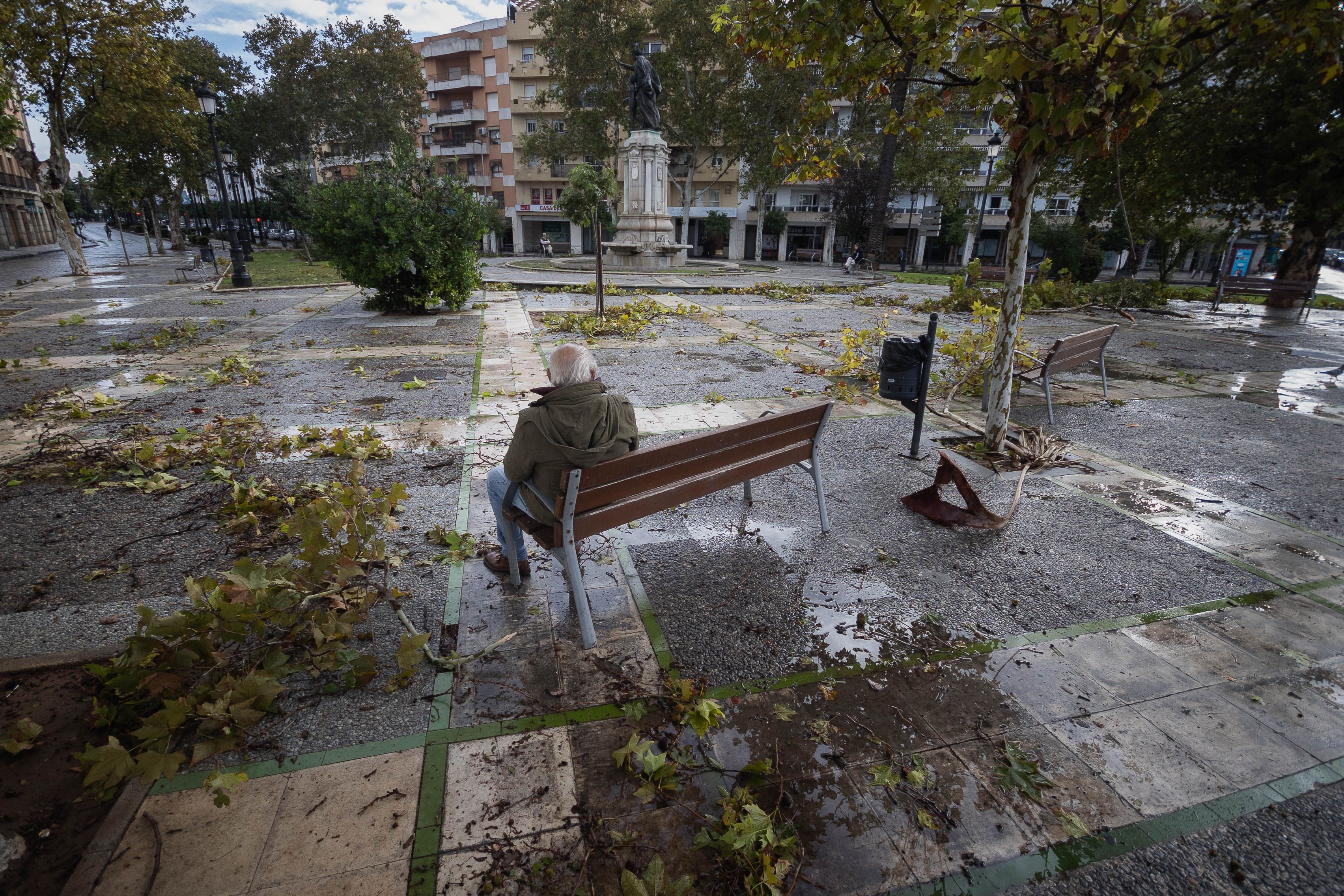 La resaca del paso de 'Bernard' por Jerez