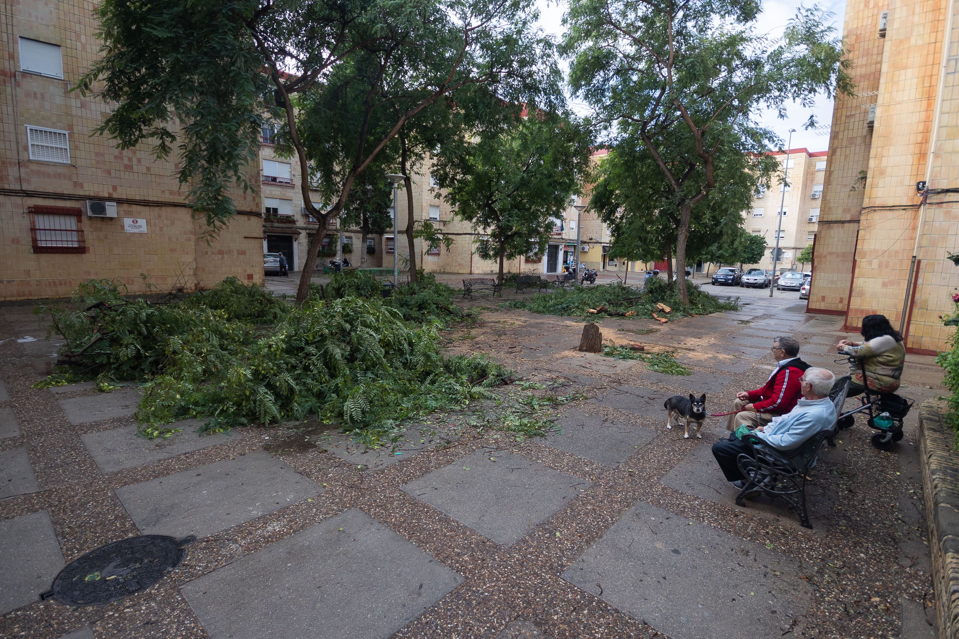 La resaca del paso de 'Bernard' por Jerez