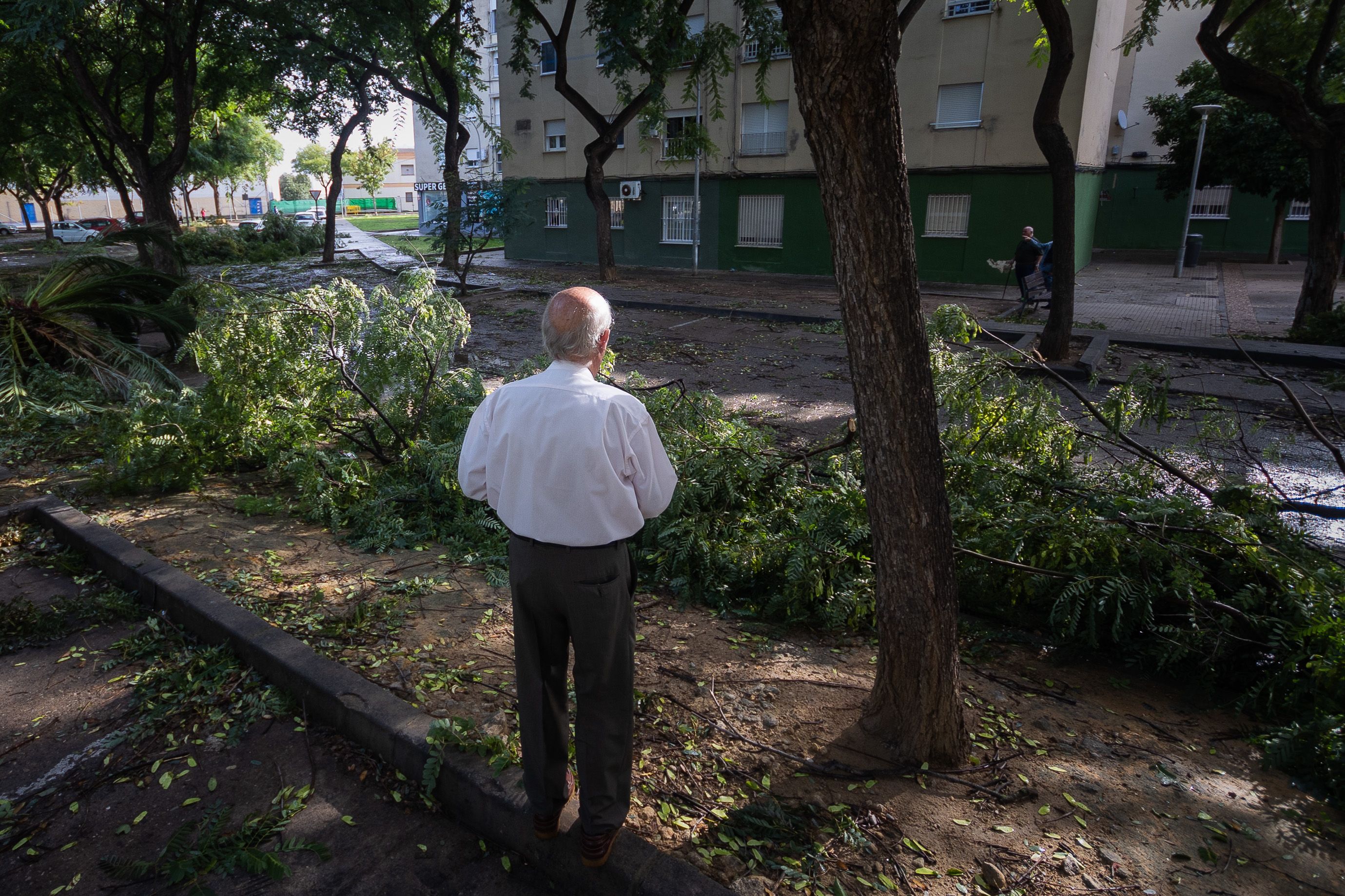 La resaca del paso de 'Bernard' por Jerez