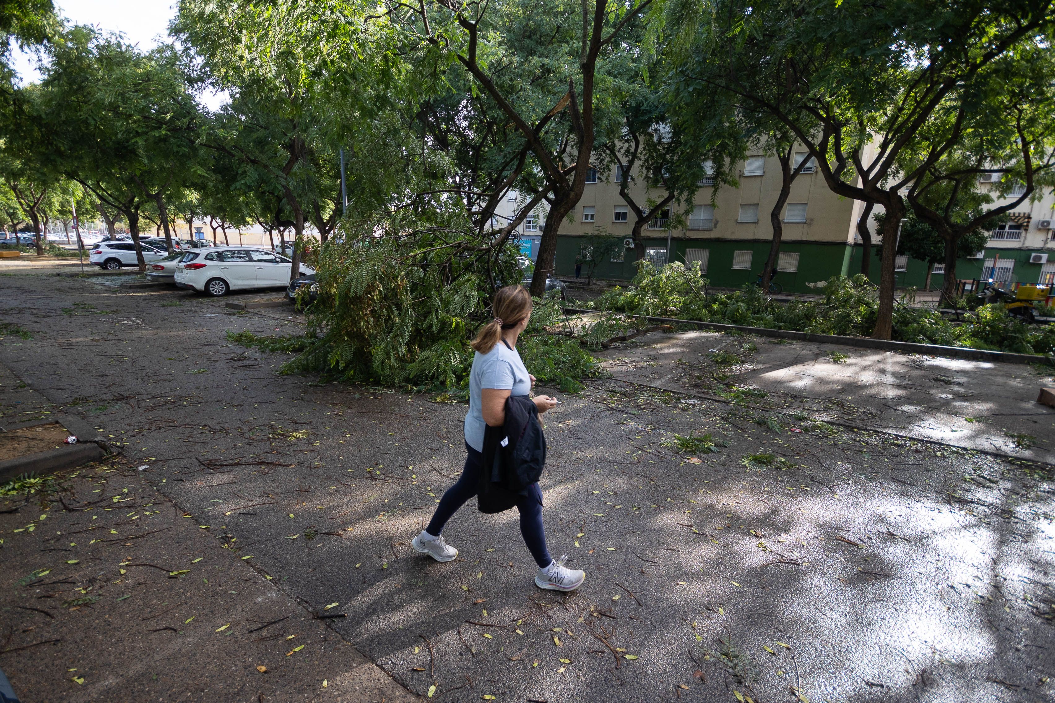 La resaca del paso de 'Bernard' por Jerez