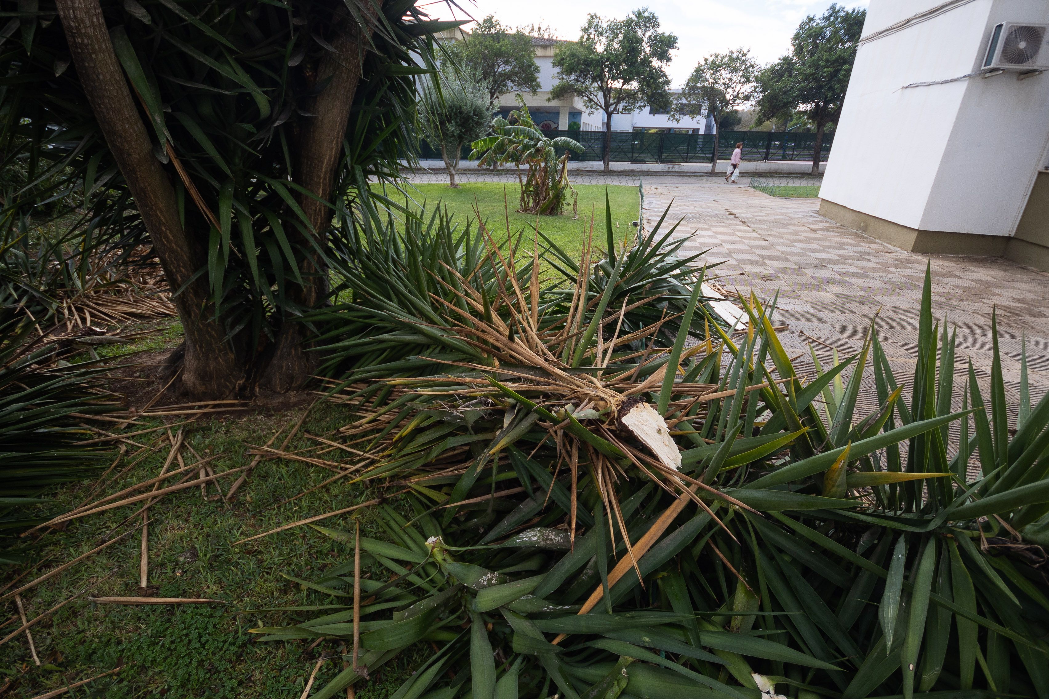 La resaca del paso de 'Bernard' por Jerez