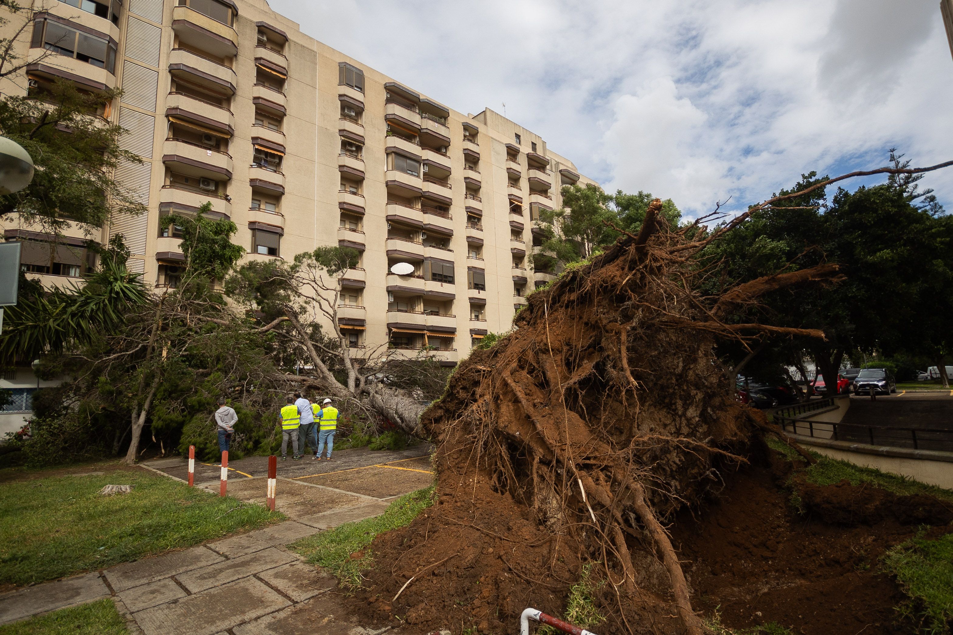 Efectos del paso der la borrasca 'Bernard' en Andalucía. España, en alerta ante un fenómeno meteorológico.