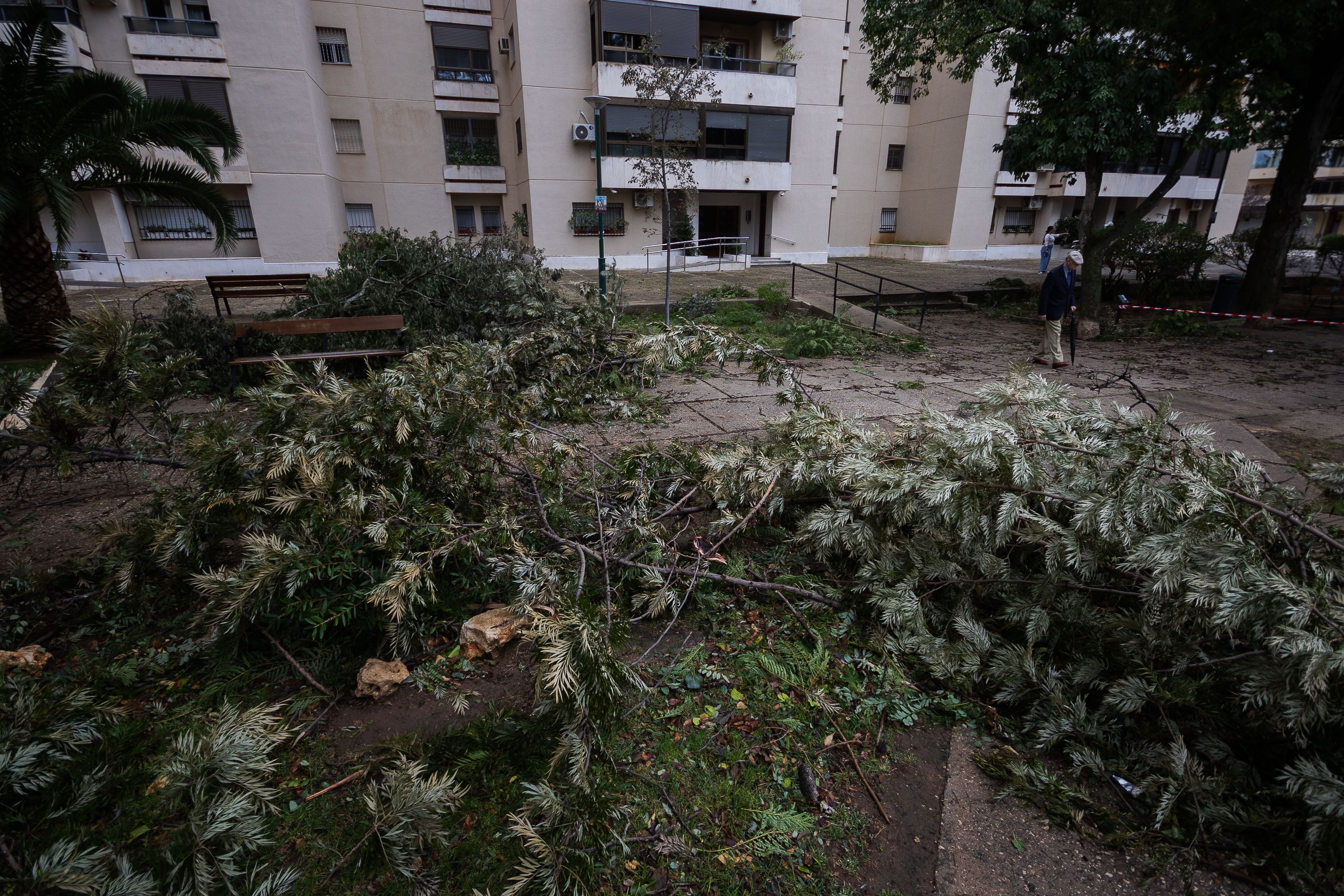 La resaca del paso de 'Bernard' por Jerez