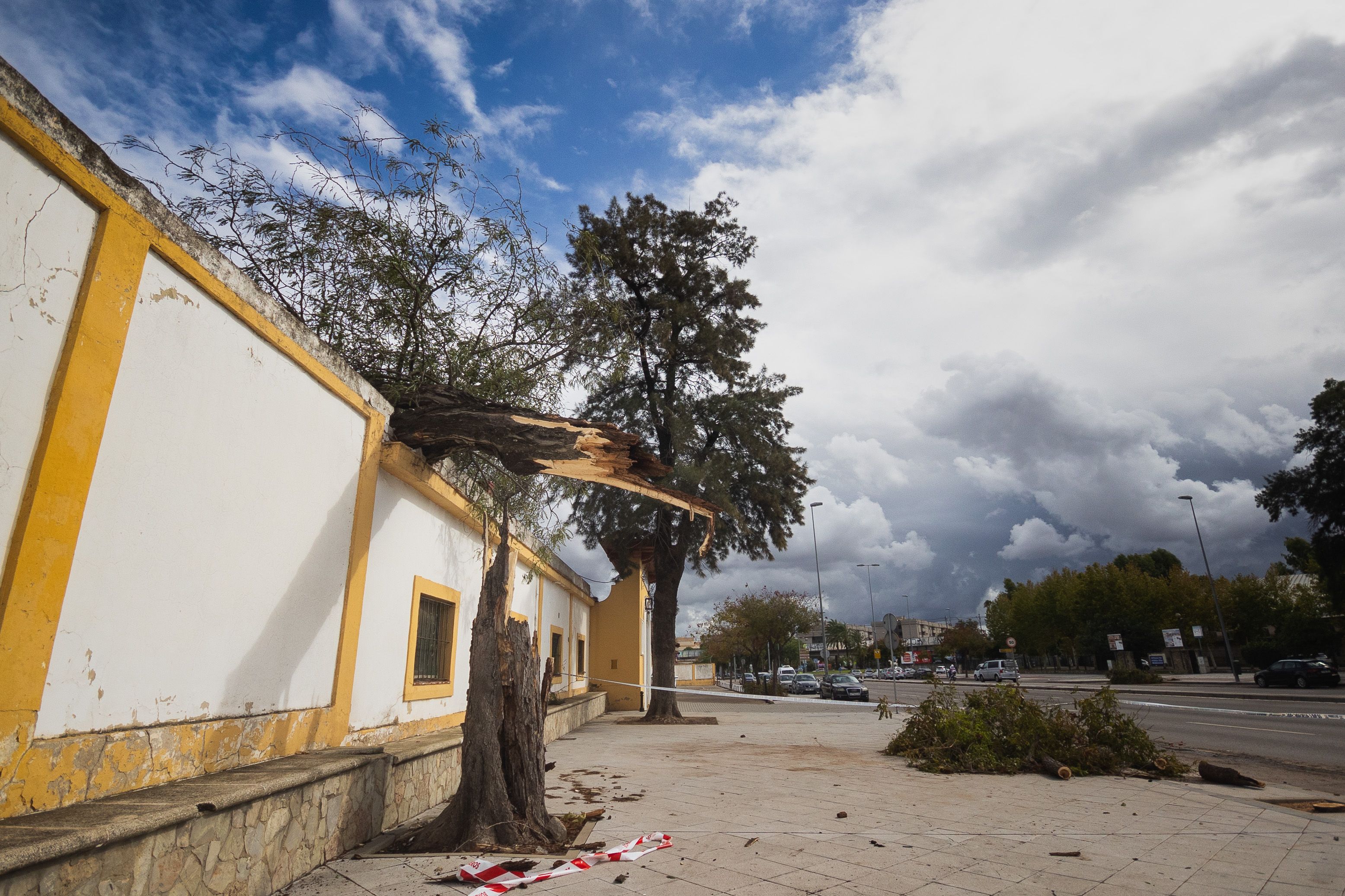 La resaca del paso de 'Bernard' por Jerez