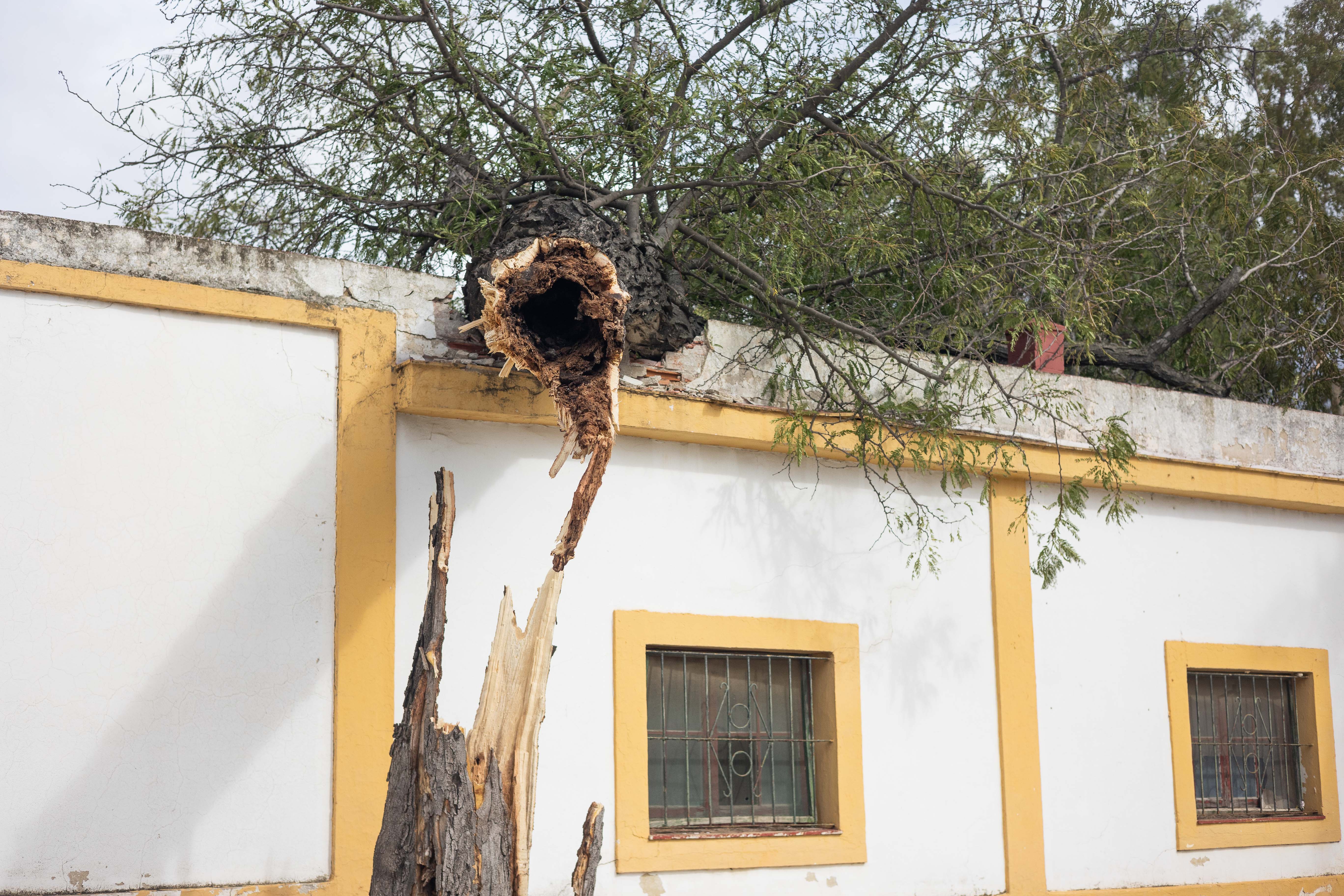 La resaca del paso de 'Bernard' por Jerez