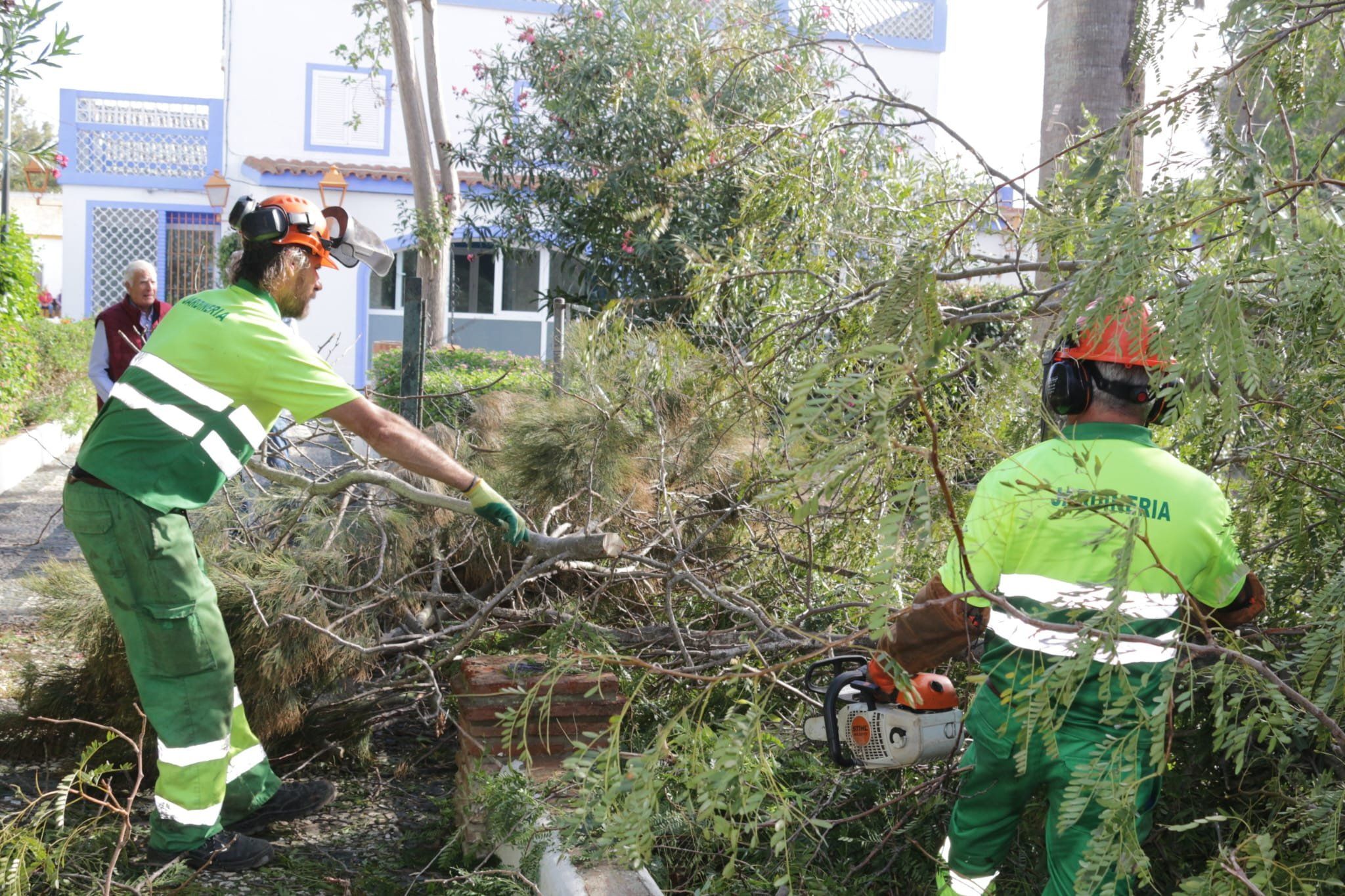 Una veintena de árboles de gran volumen caen en Chiclana a causa del temporal. En la imagen, operarios en el parque de la Huerta del Rosario.