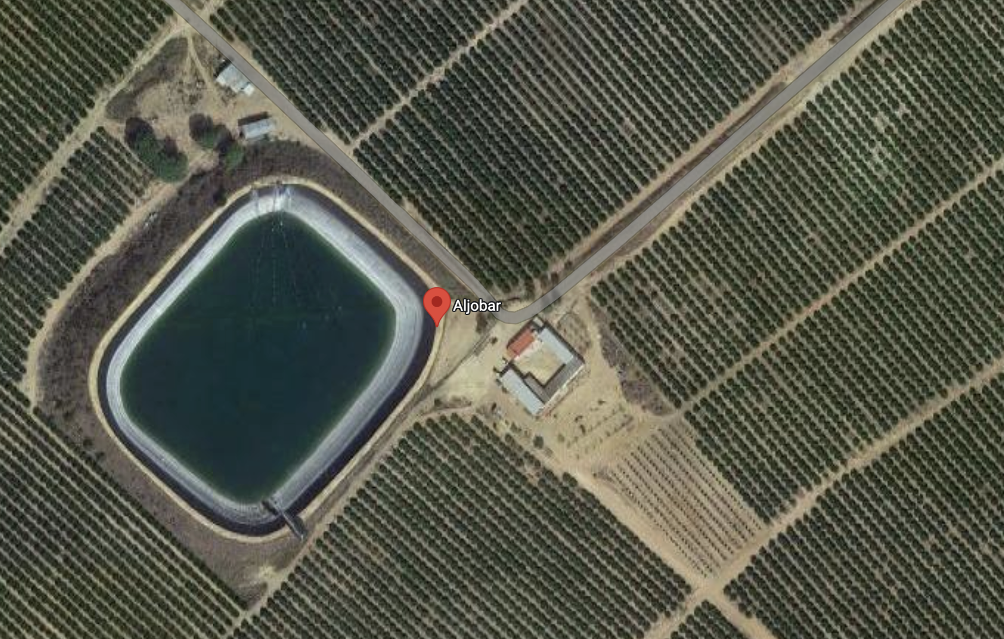 Finca de Aljóbar, en Aznalcazar, Sevilla, donde presuntamente hay ocho pozos ilegales que han estado robando agua, en una imagen de satélite de Google.