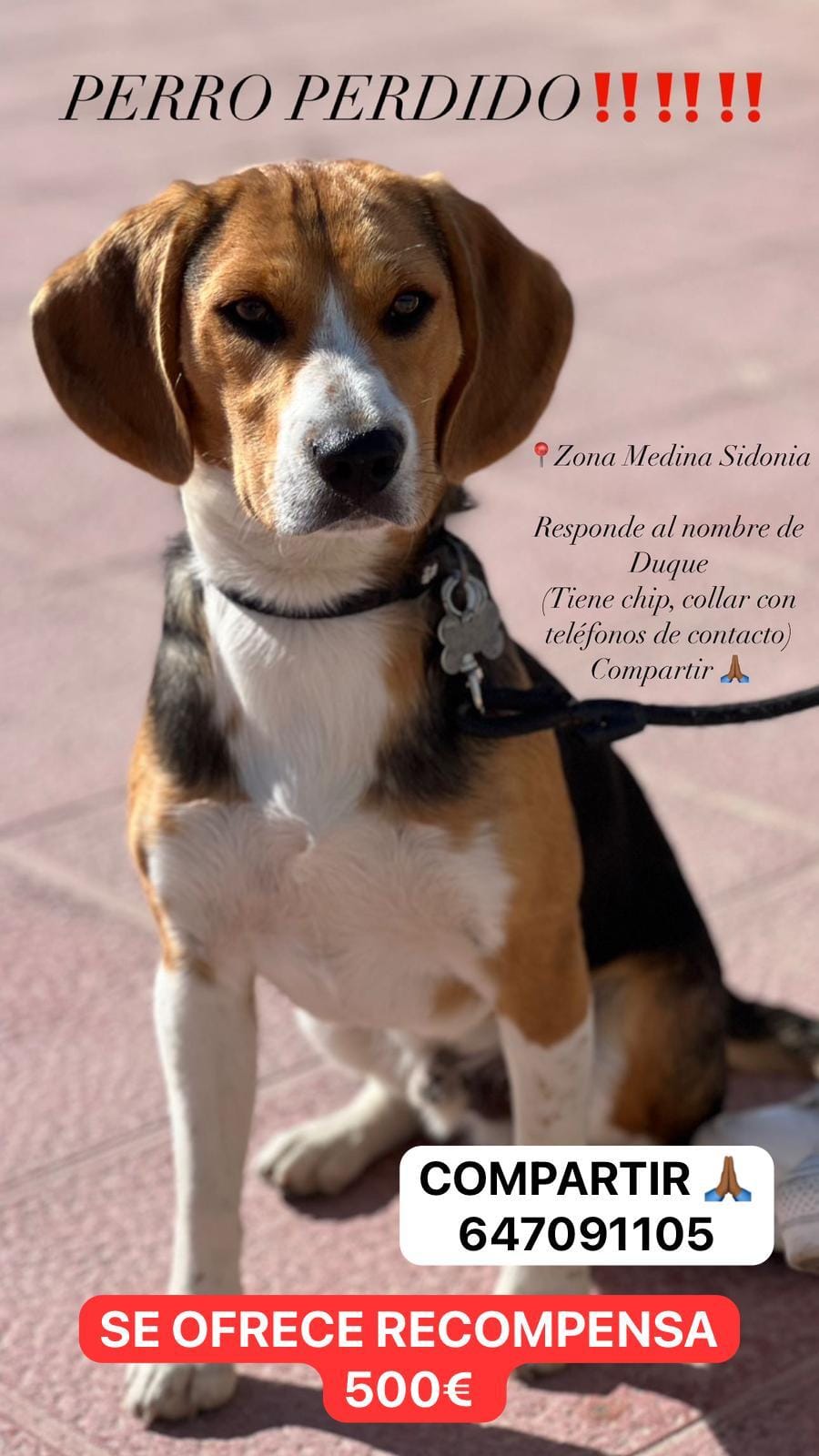 Cartel difundido en redes sociales por los dueños.