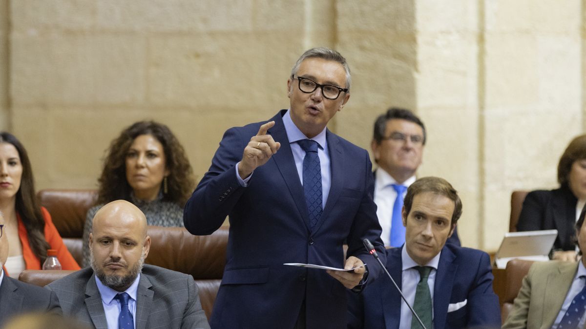 Manuel Gavira, portavoz de Vox, en el Parlamento.