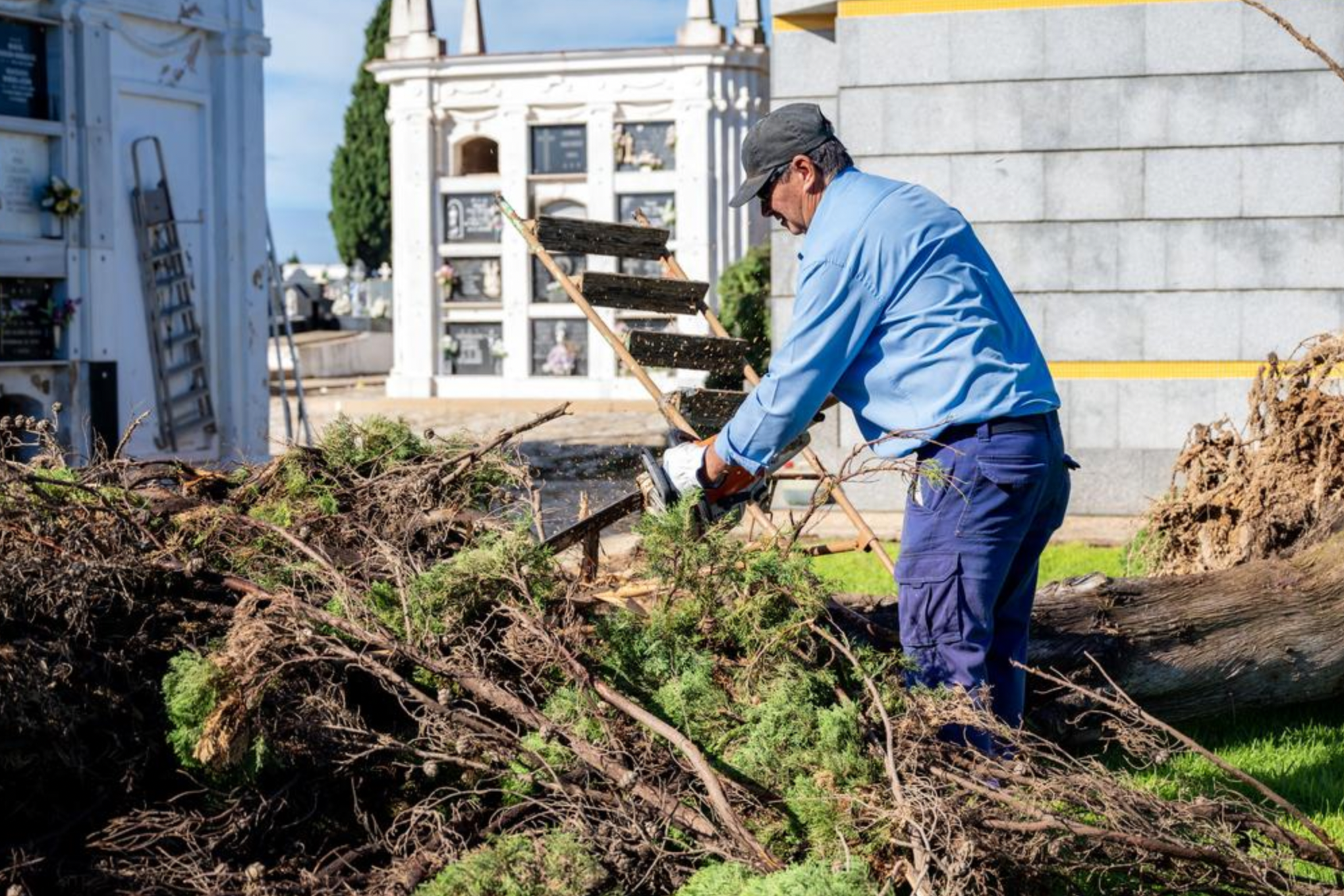 Trabajos en el cementerio de La Soledad de Huelva. 