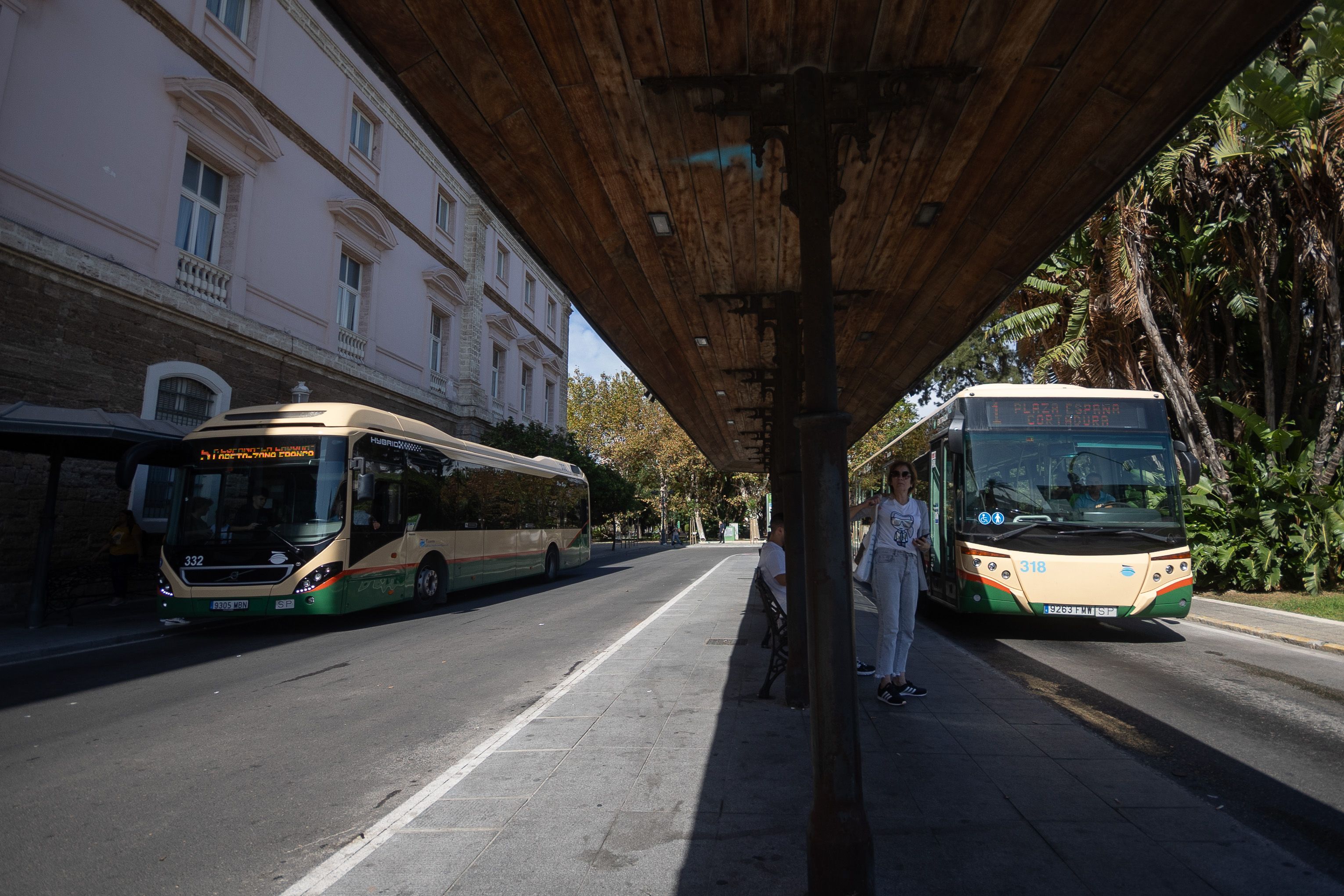 Autobuses urbanos en Cádiz.