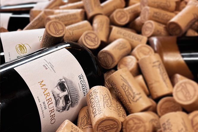 Un vino de las viñas Colonias de Galeón, de Cazalla.