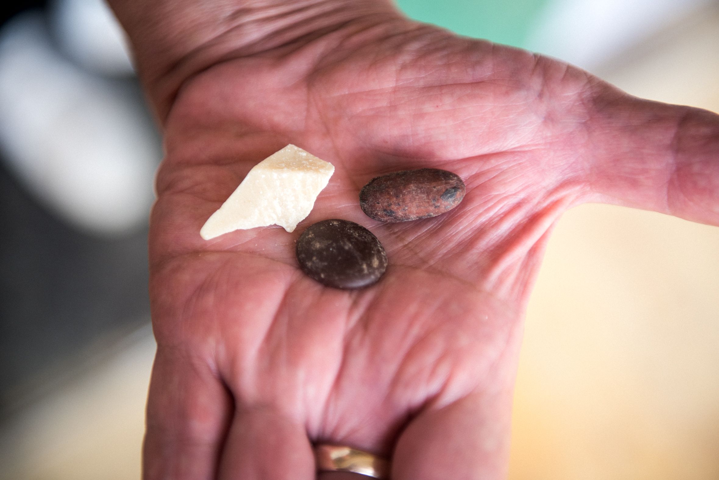 GUILLERMO CHOCOLATE 11