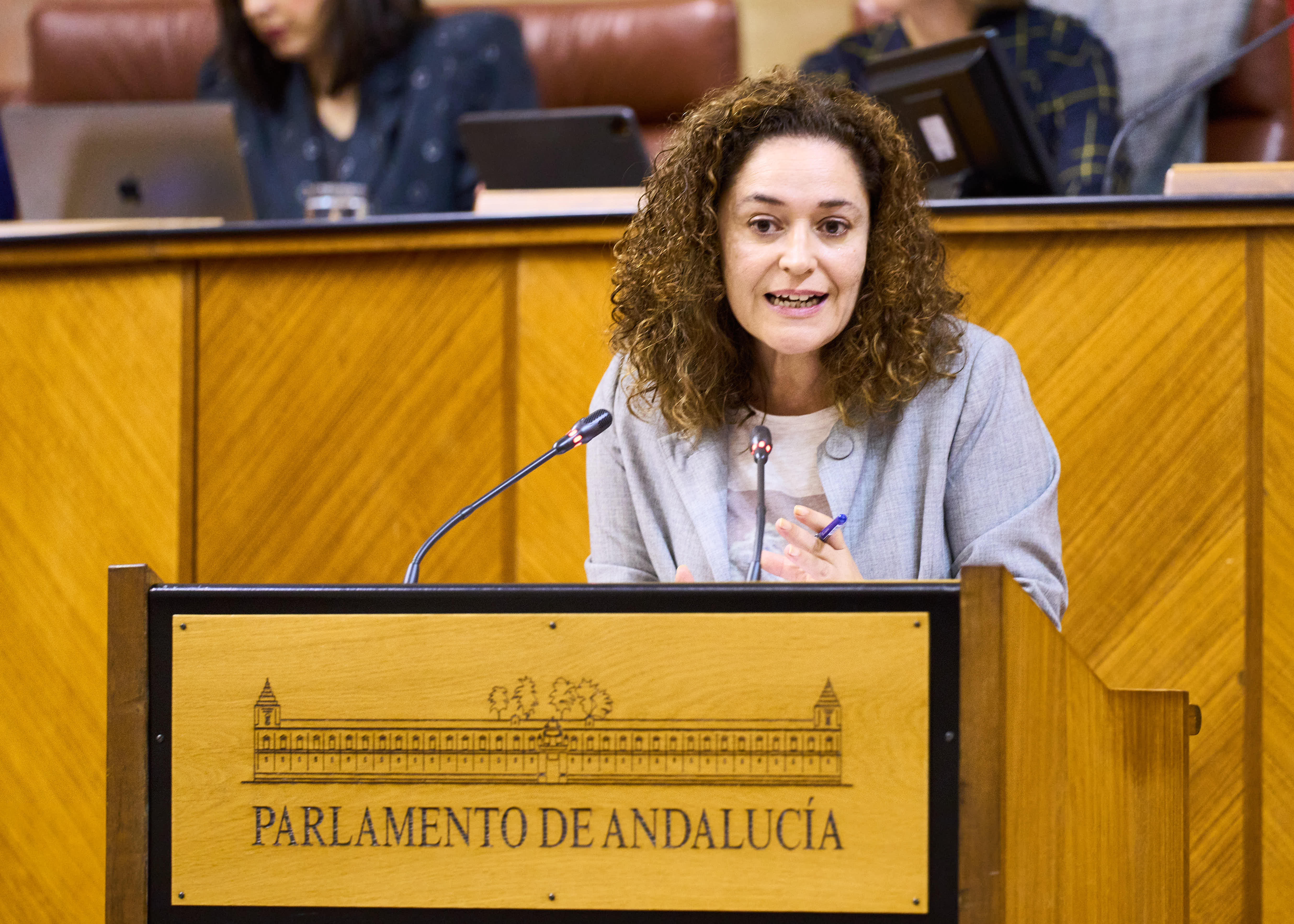 Inmaculada Nieto, de IU, durante el pleno de este jueves en el Parlamento.