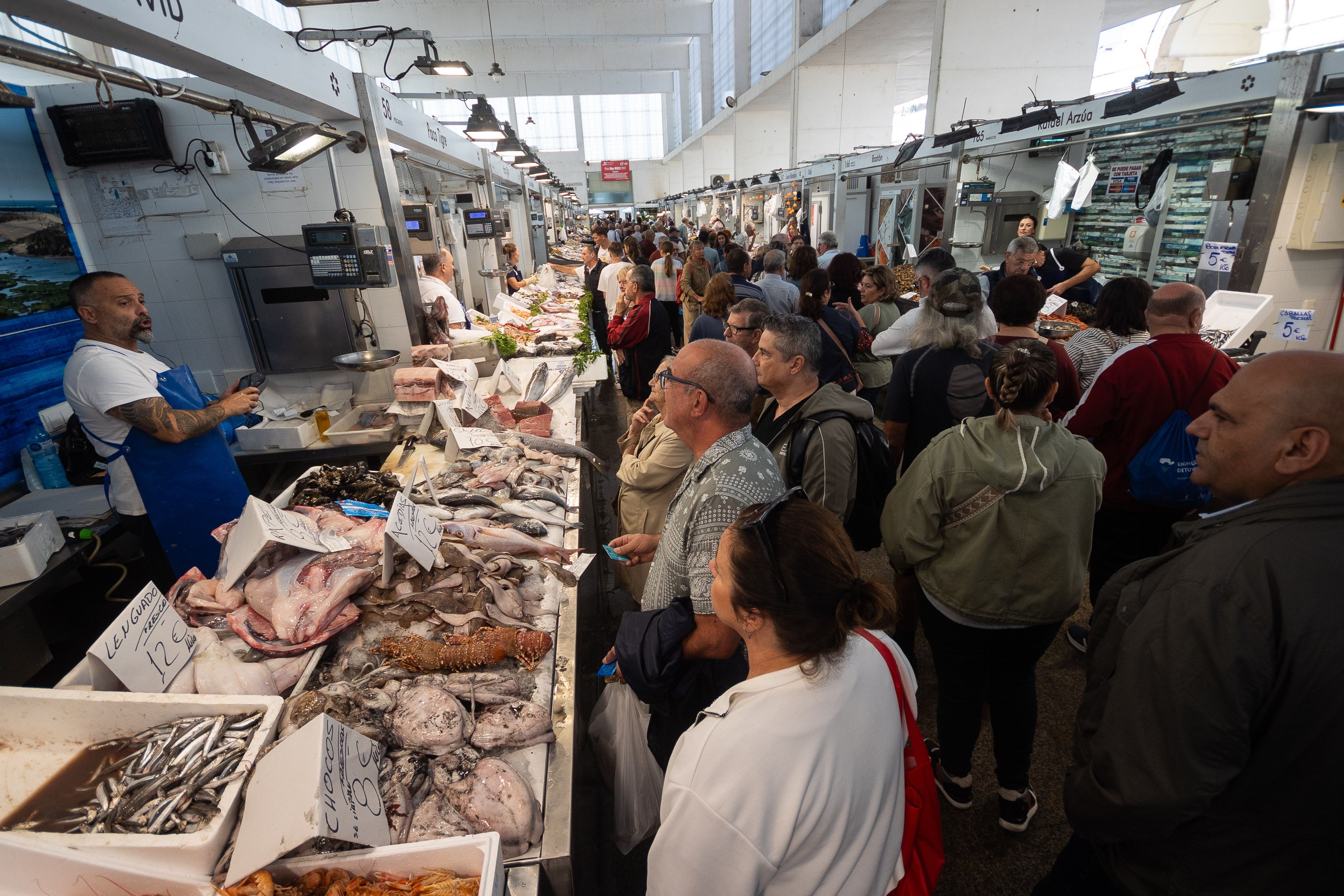 ERIZOS ORTIGUILLAS PLAZA DE ABASTOS DE CADIZ ATUN 2