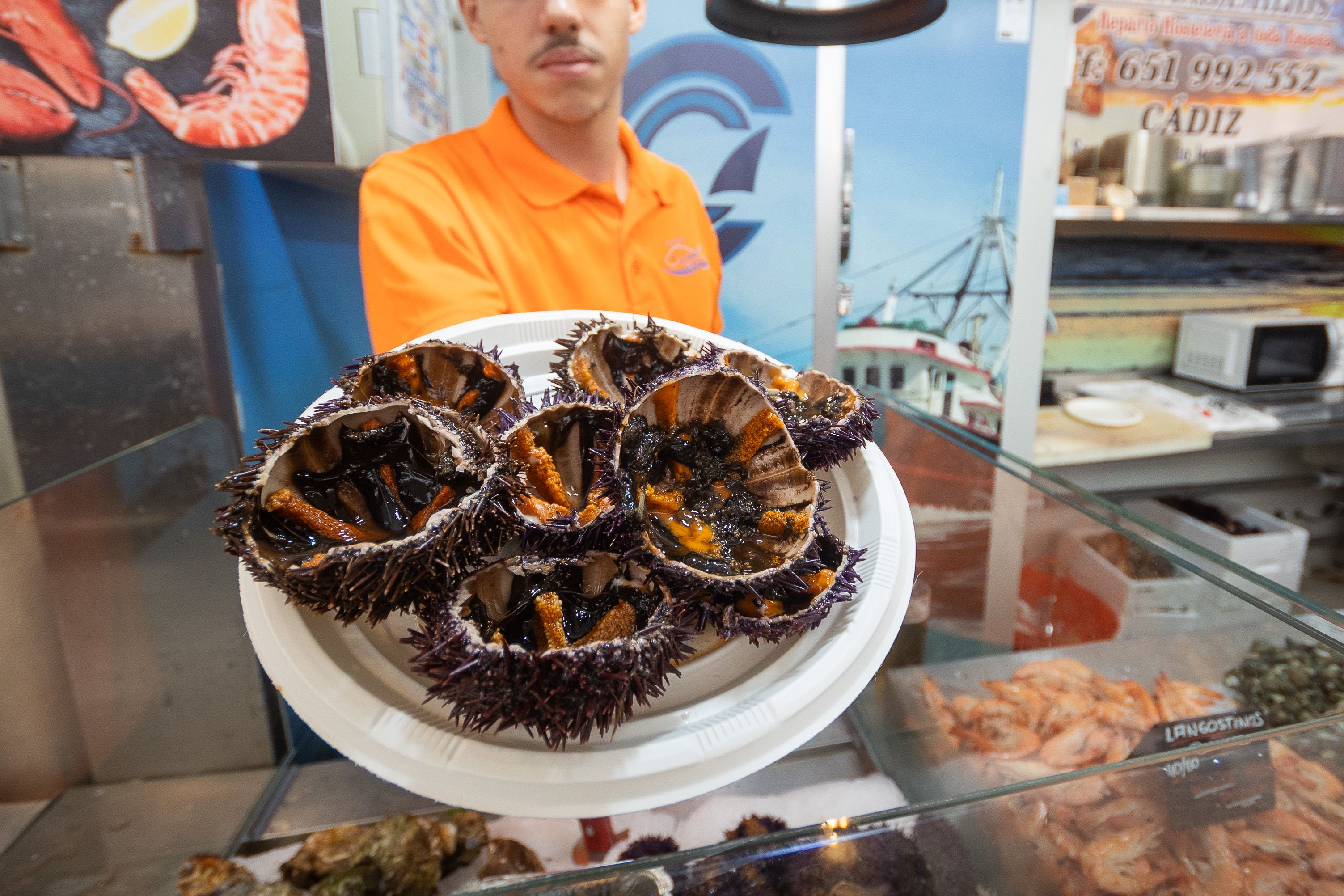 Cristian muestra erizos en el puesto Elcano e Hijos, de los pocos que los ofrece en el Mercado Central de Cádiz.