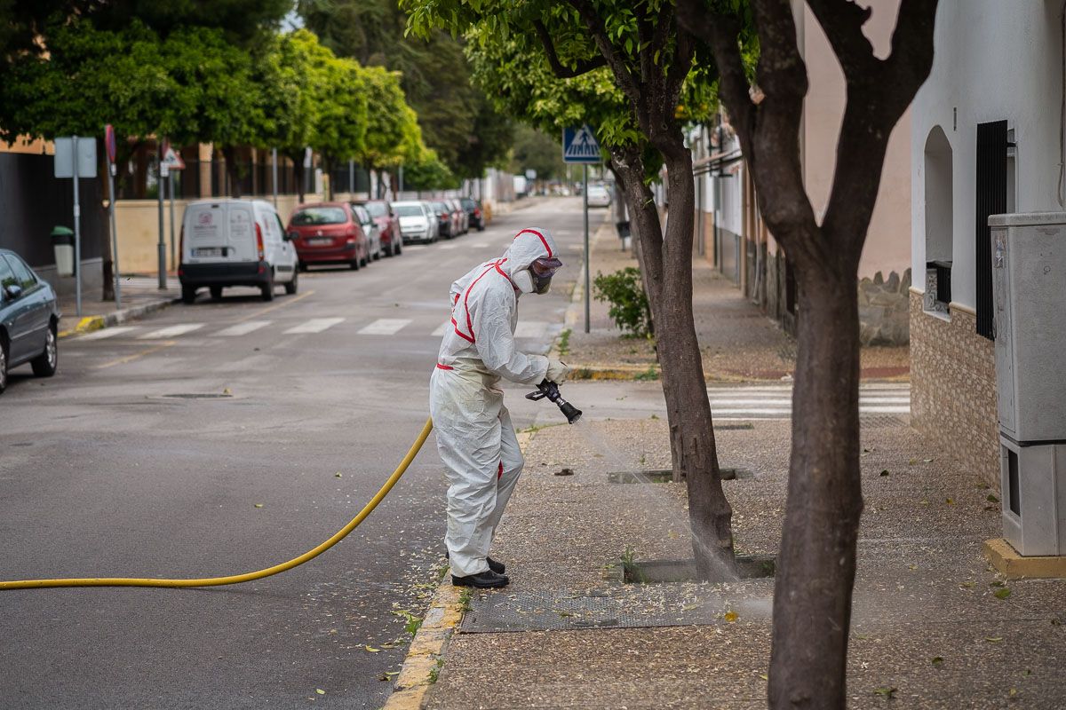 Un operario desinfecta un espacio público en la pedanía jerezana de Guadalcacín. FOTO: MANU GARCÍA Un operario desinfecta un espacio público en la pedanía jerezana de Guadalcacín. FOTO: MANU GARCÍA