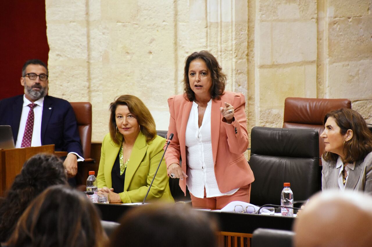 La consejera de Salud y máxima responsable del SAS, Catalina García, en el Parlamento de Andalucía.