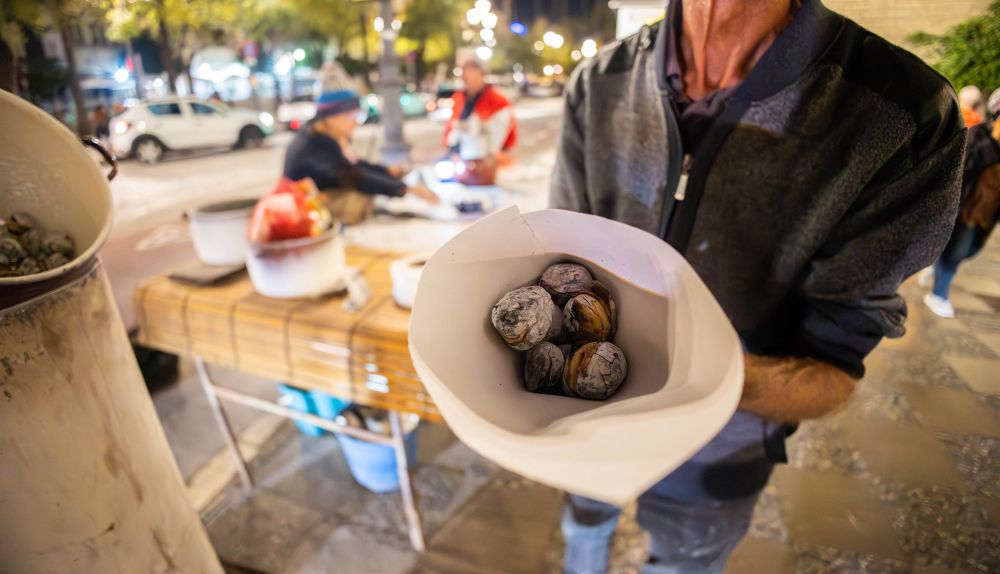 CASTAÑEROS CASTAÑAS JEREZ 7
