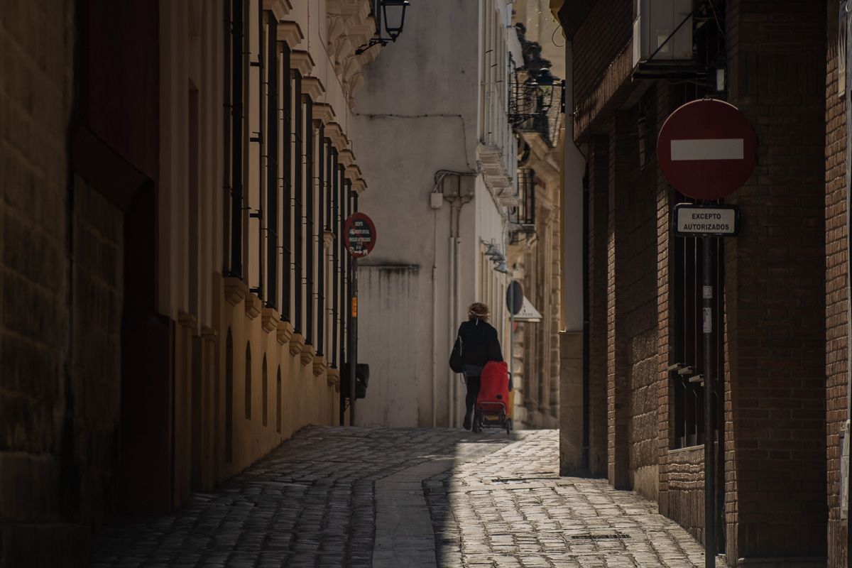 Una vecina camina con su carro de la compra por la calle Letrados, a la espalda del Consistorio. FOTO: MANU GARCÍA