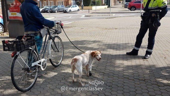 La señora detenida, con su perro, en una imagen de Emergencias Sevilla.