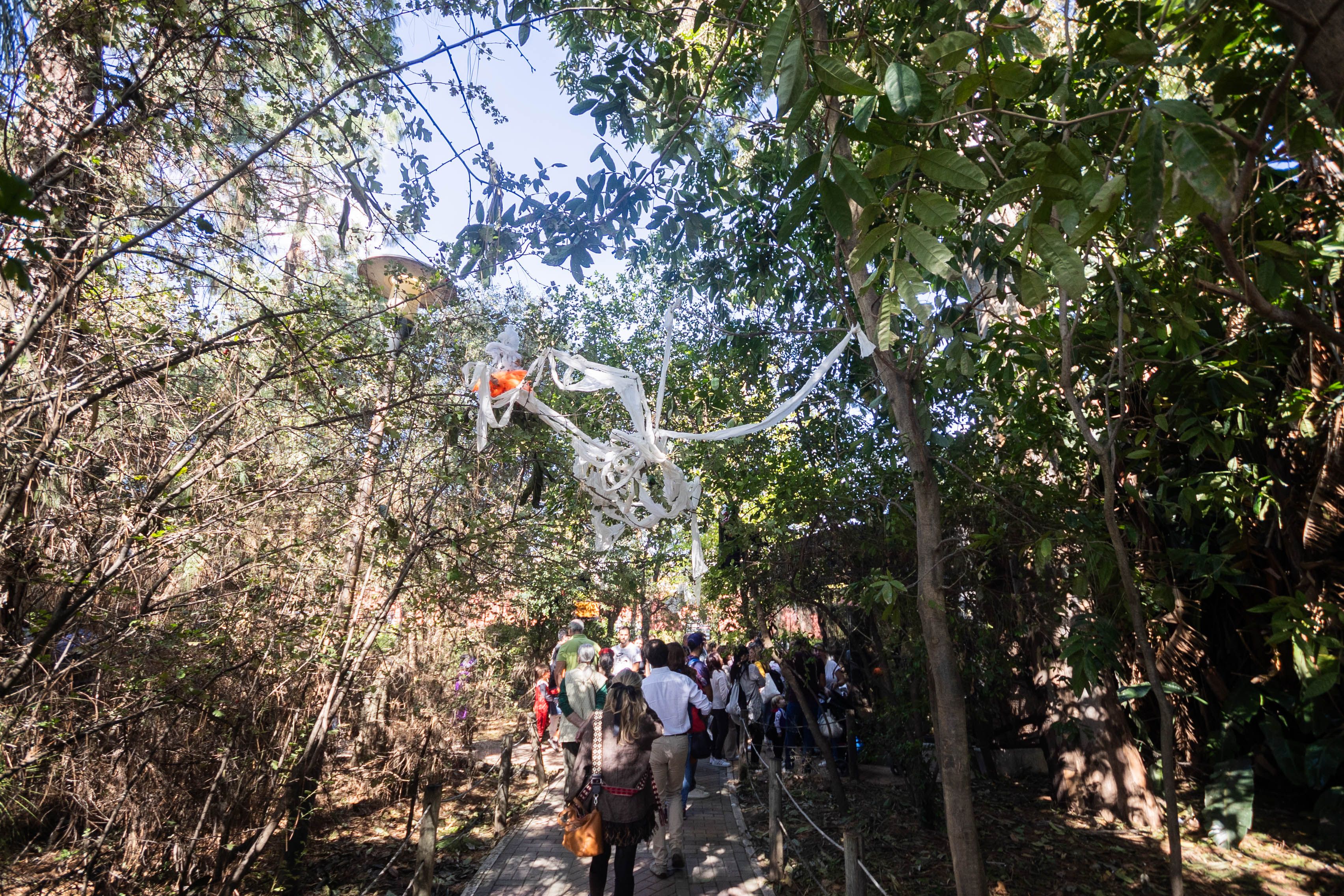 Zoobotánico de Jerez en Halloween