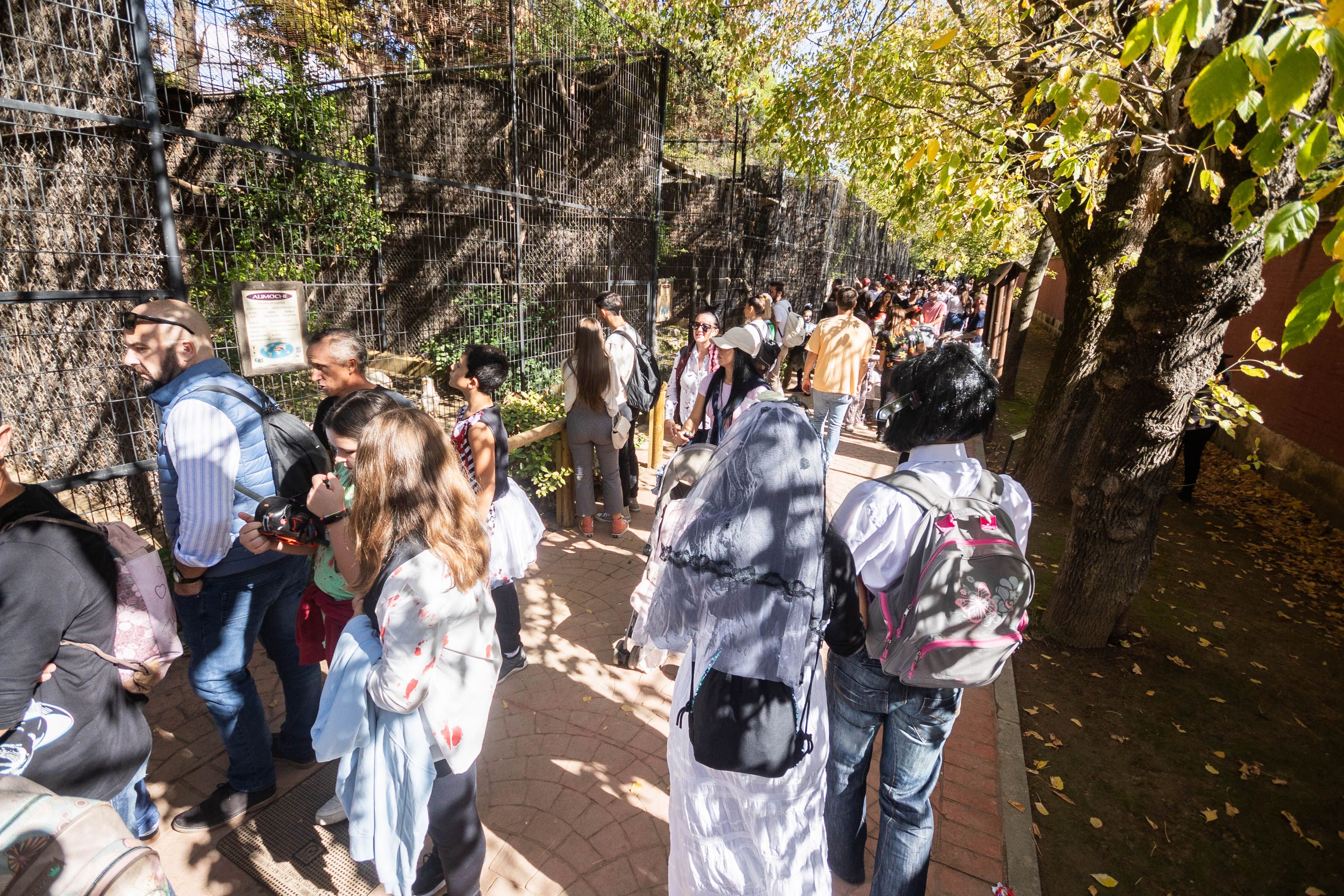 Zoobotánico de Jerez en Halloween