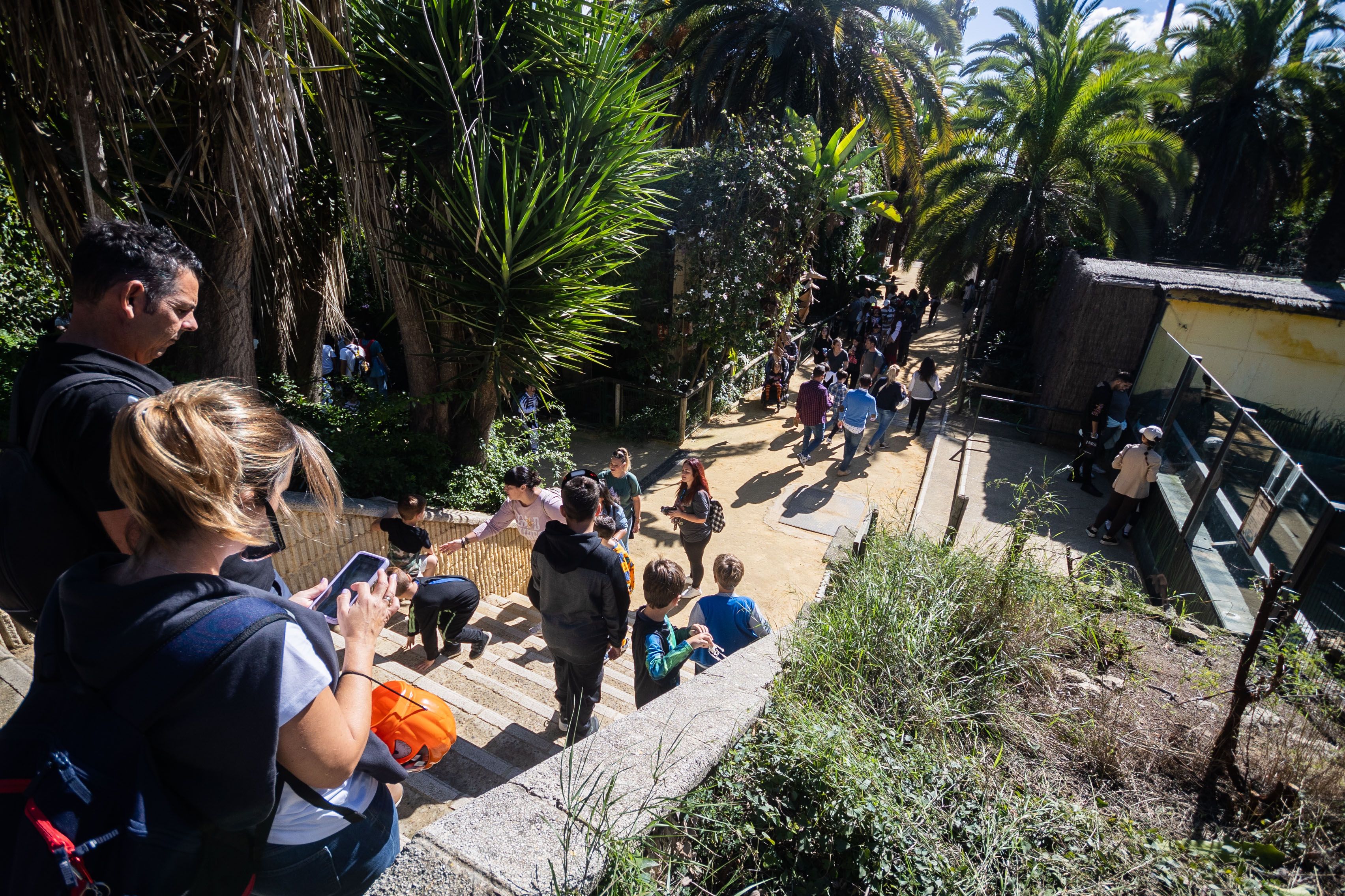 Zoobotánico de Jerez en Halloween