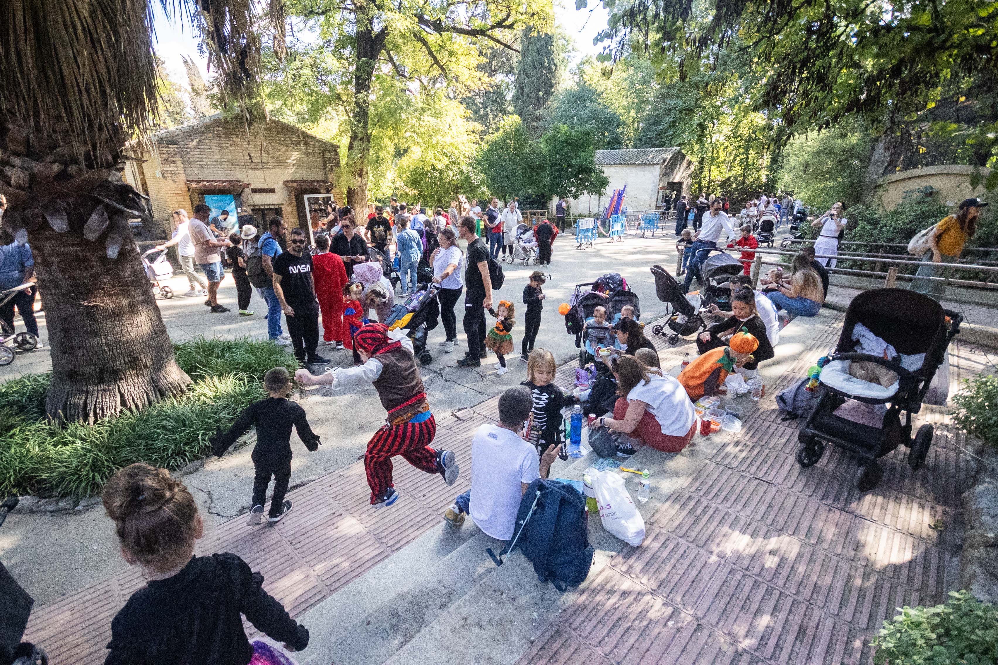 Zoobotánico de Jerez en Halloween