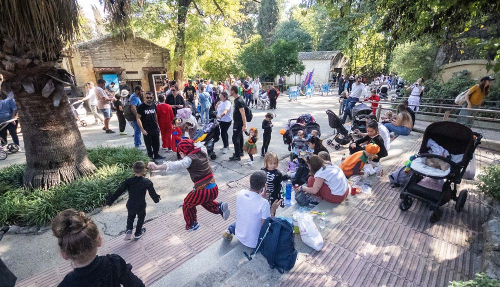 Zoobotánico de Jerez en Halloween
