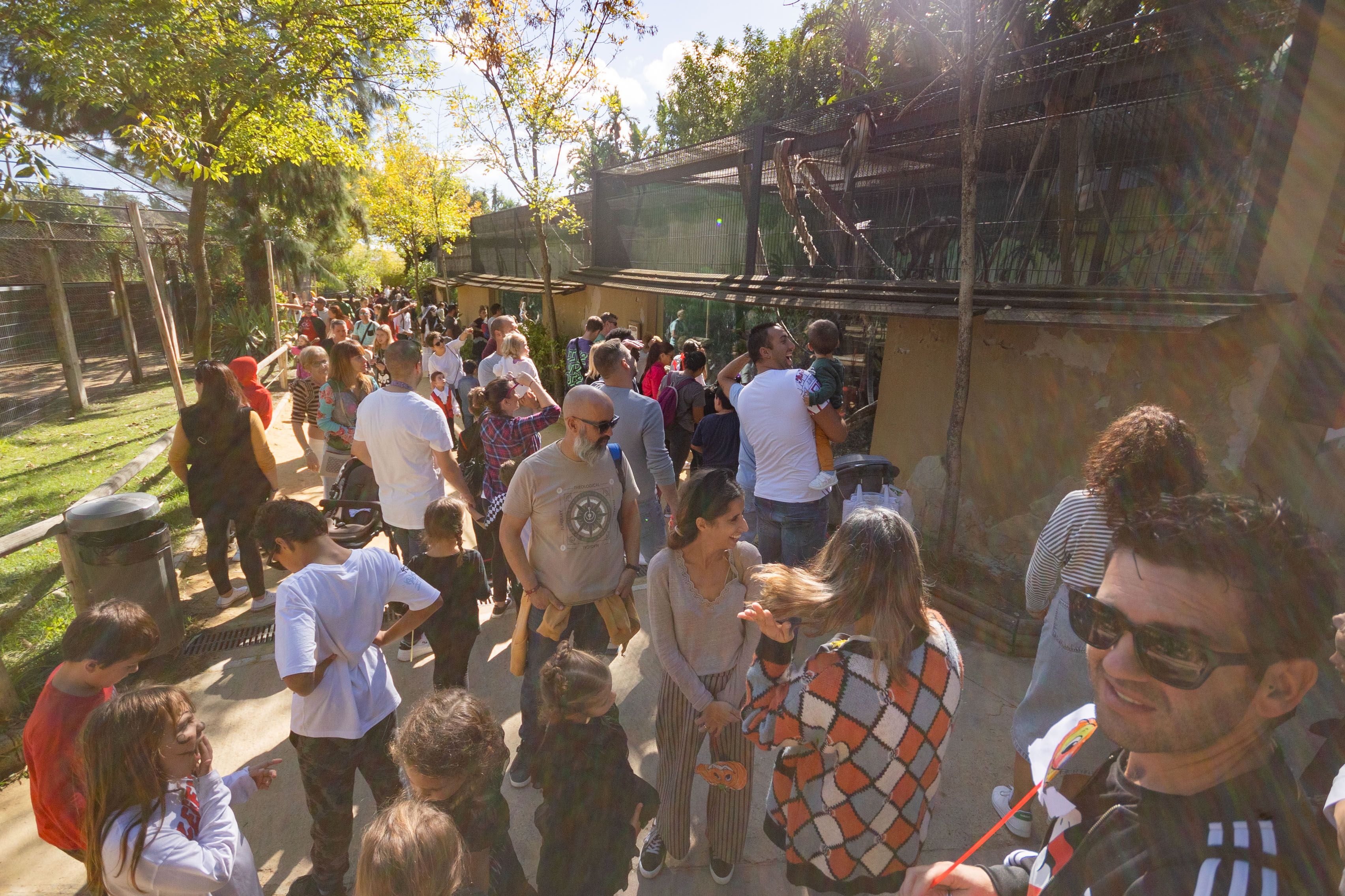 Zoobotánico de Jerez en Halloween
