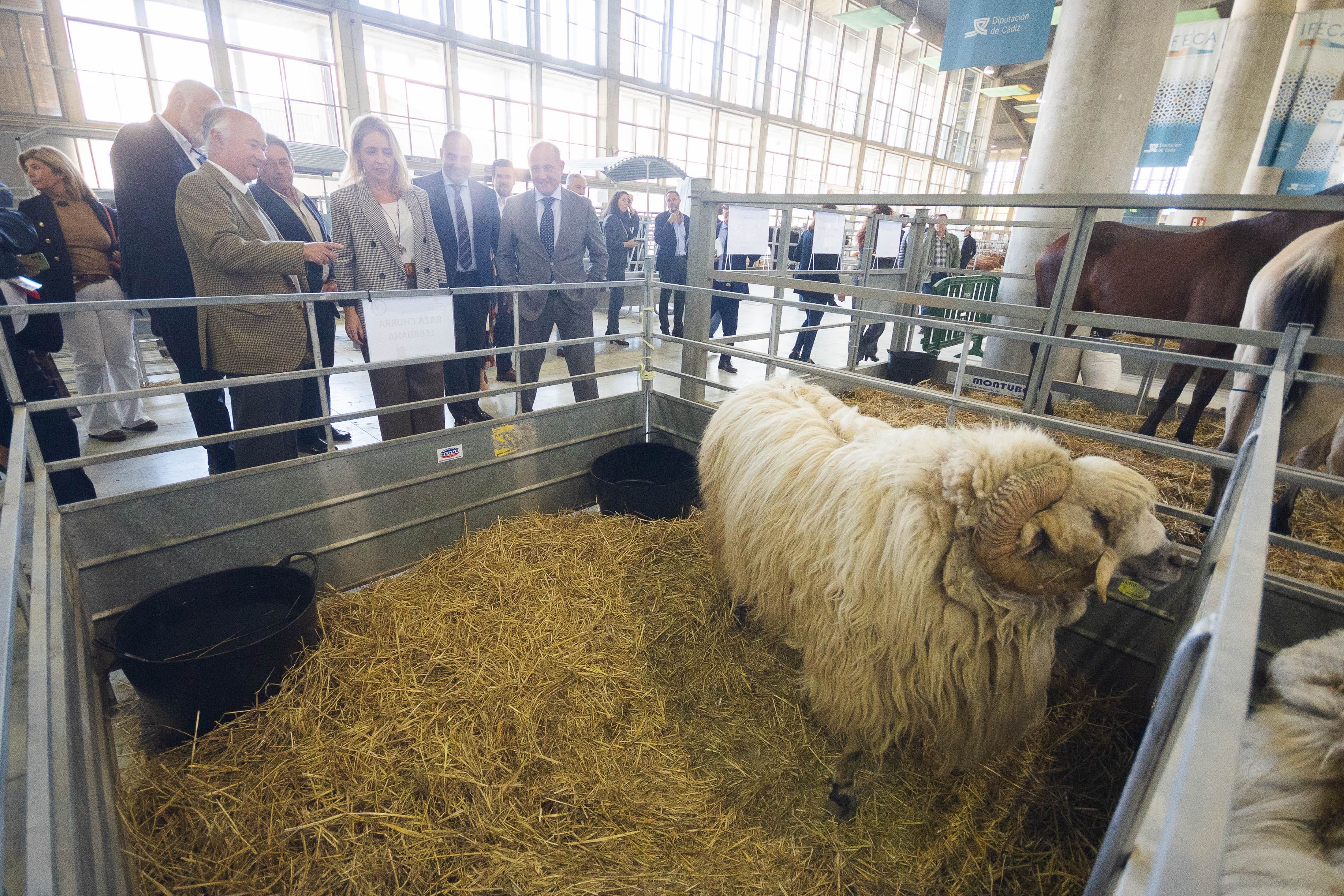 Un momento de la inauguración de Fegasur.