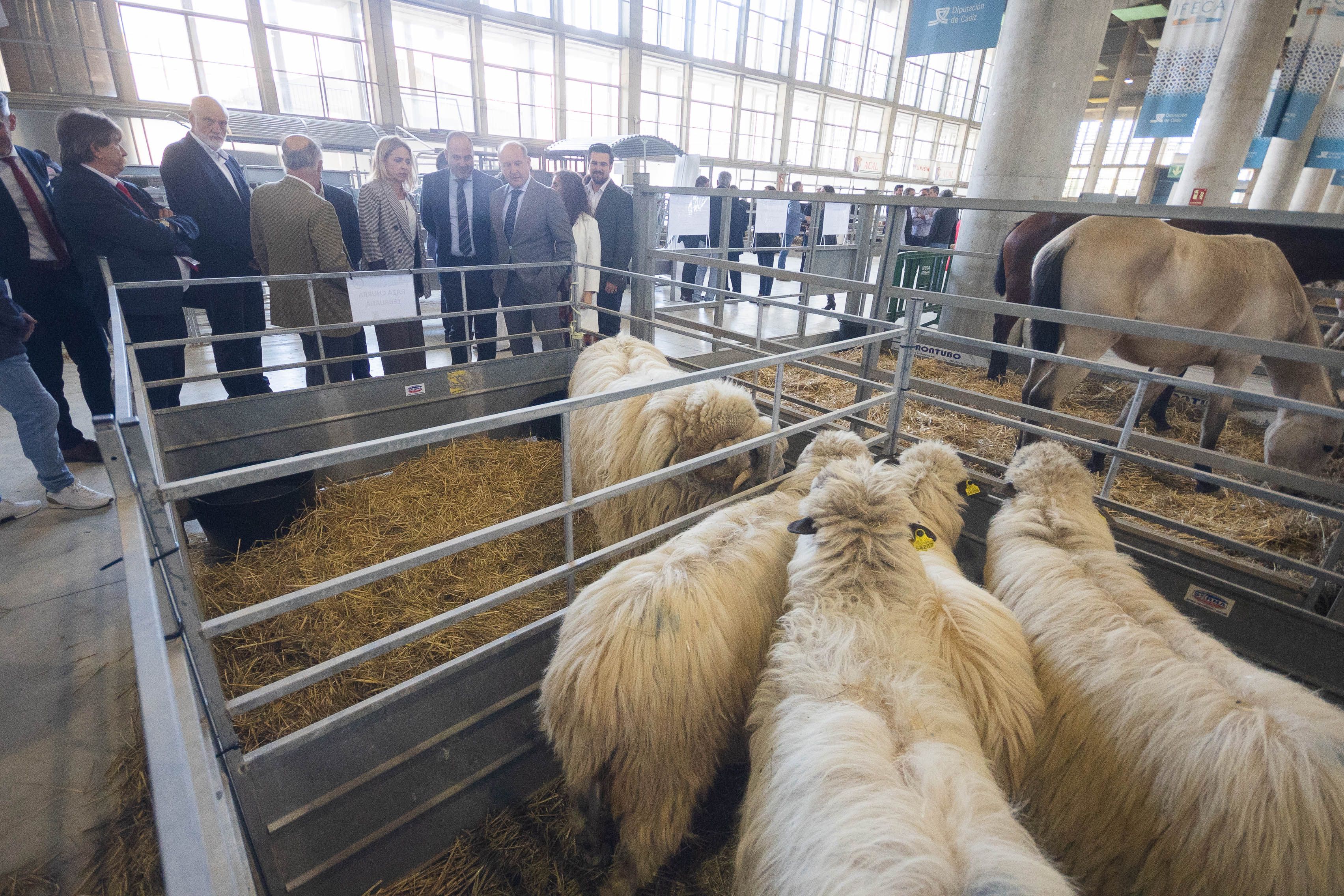 Inauguración de Fegasur en Jerez.
