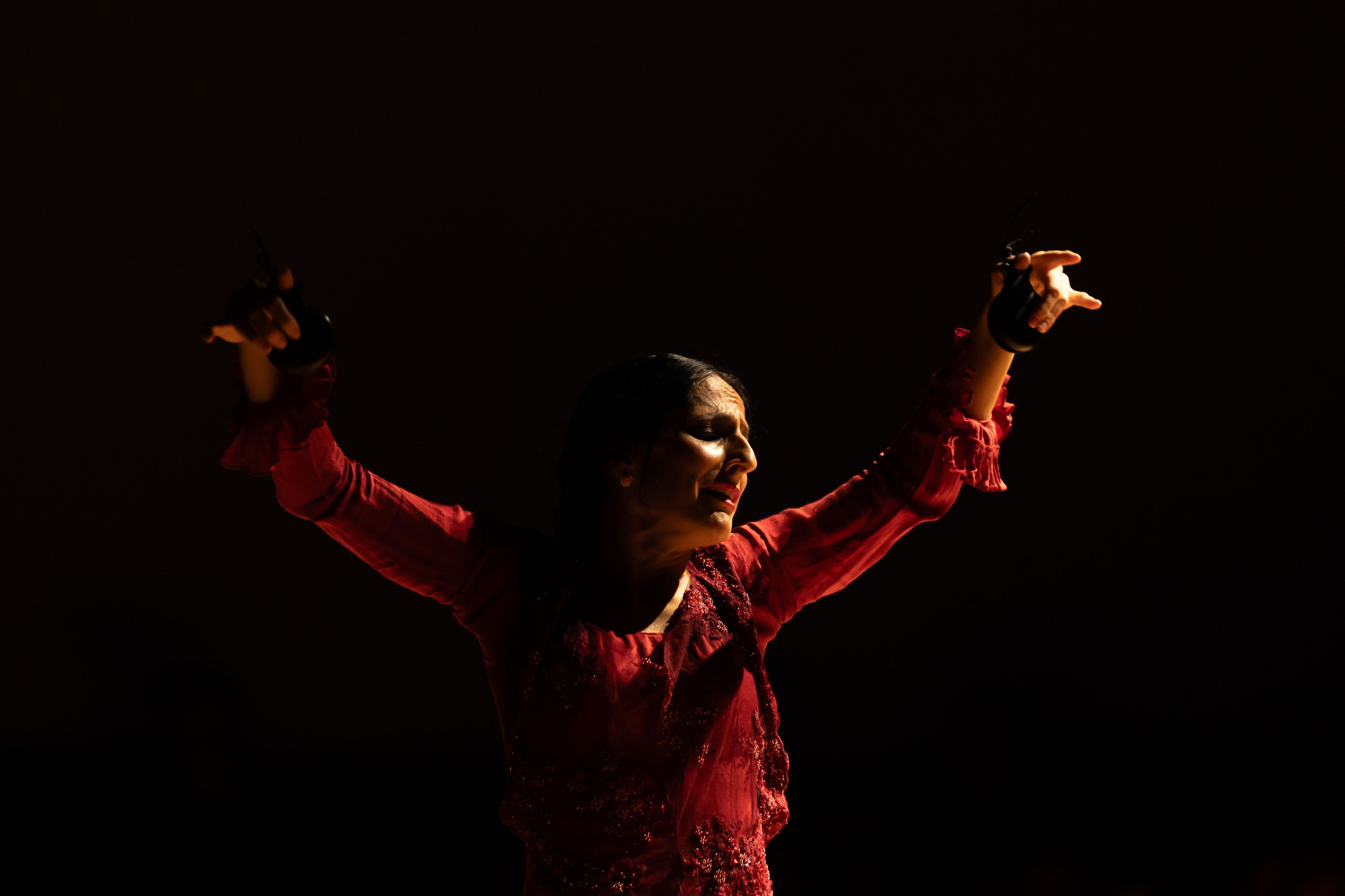 Gala de entrega de los Premios Nacionales de Flamenco de la Cátedra de Flamencología de Jerez Gala de entrega de los Premios Nacionales de Flamenco de la Cátedra de Flamencología de Jerez