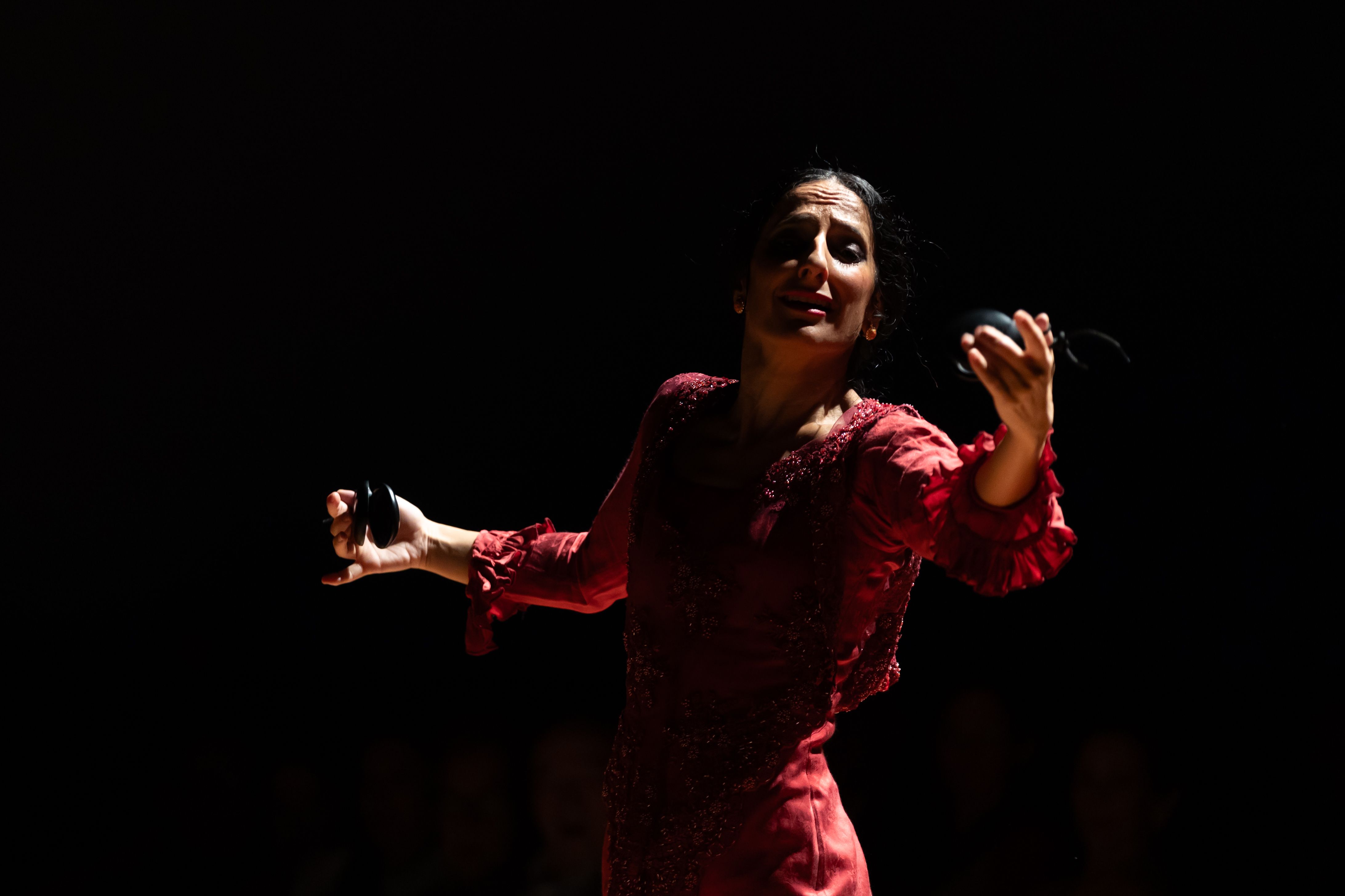Gala de entrega de los Premios Nacionales de Flamenco de la Cátedra de Flamencología de Jerez Gala de entrega de los Premios Nacionales de Flamenco de la Cátedra de Flamencología de Jerez