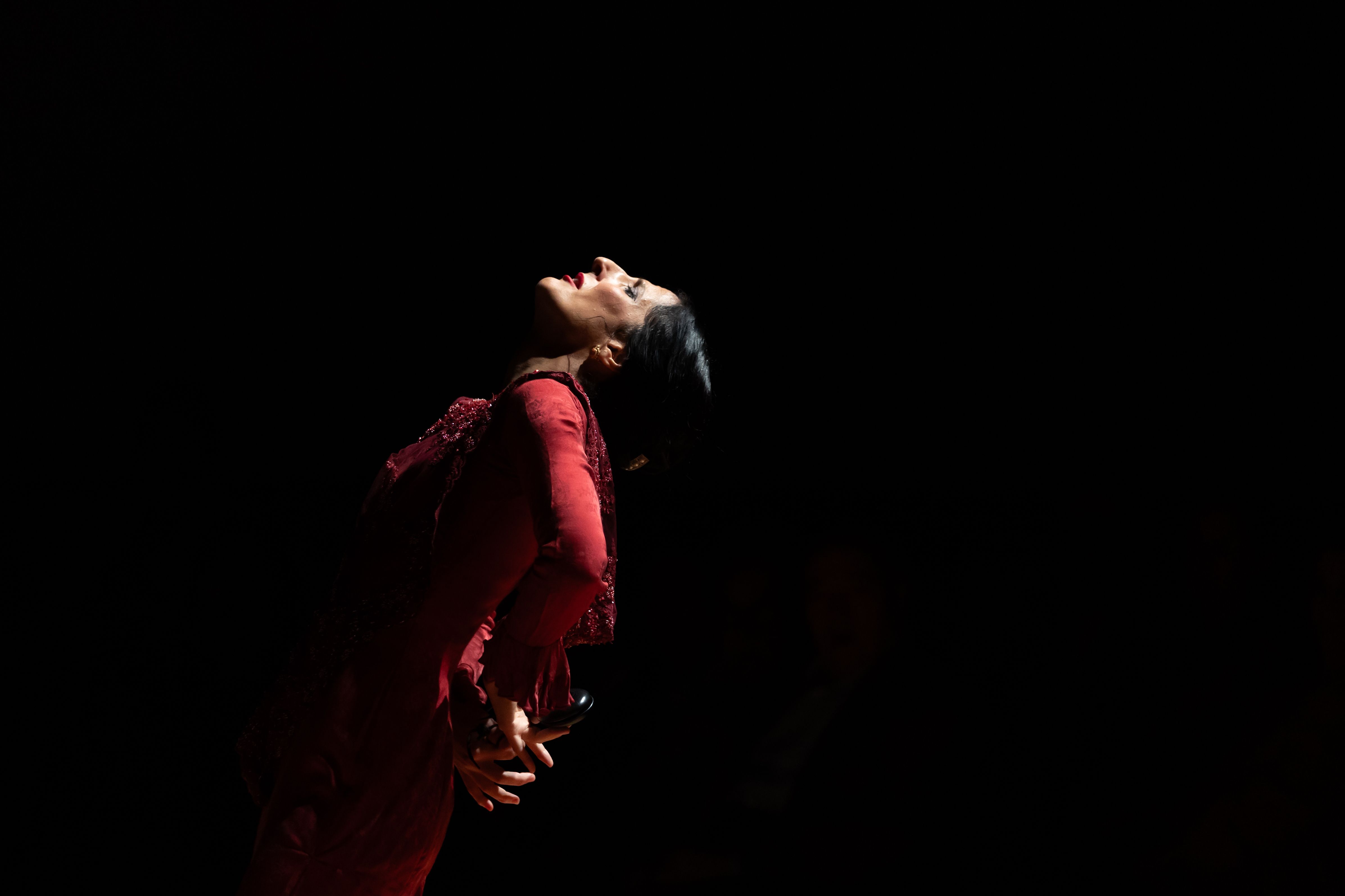 Gala de entrega de los Premios Nacionales de Flamenco de la Cátedra de Flamencología de Jerez Gala de entrega de los Premios Nacionales de Flamenco de la Cátedra de Flamencología de Jerez