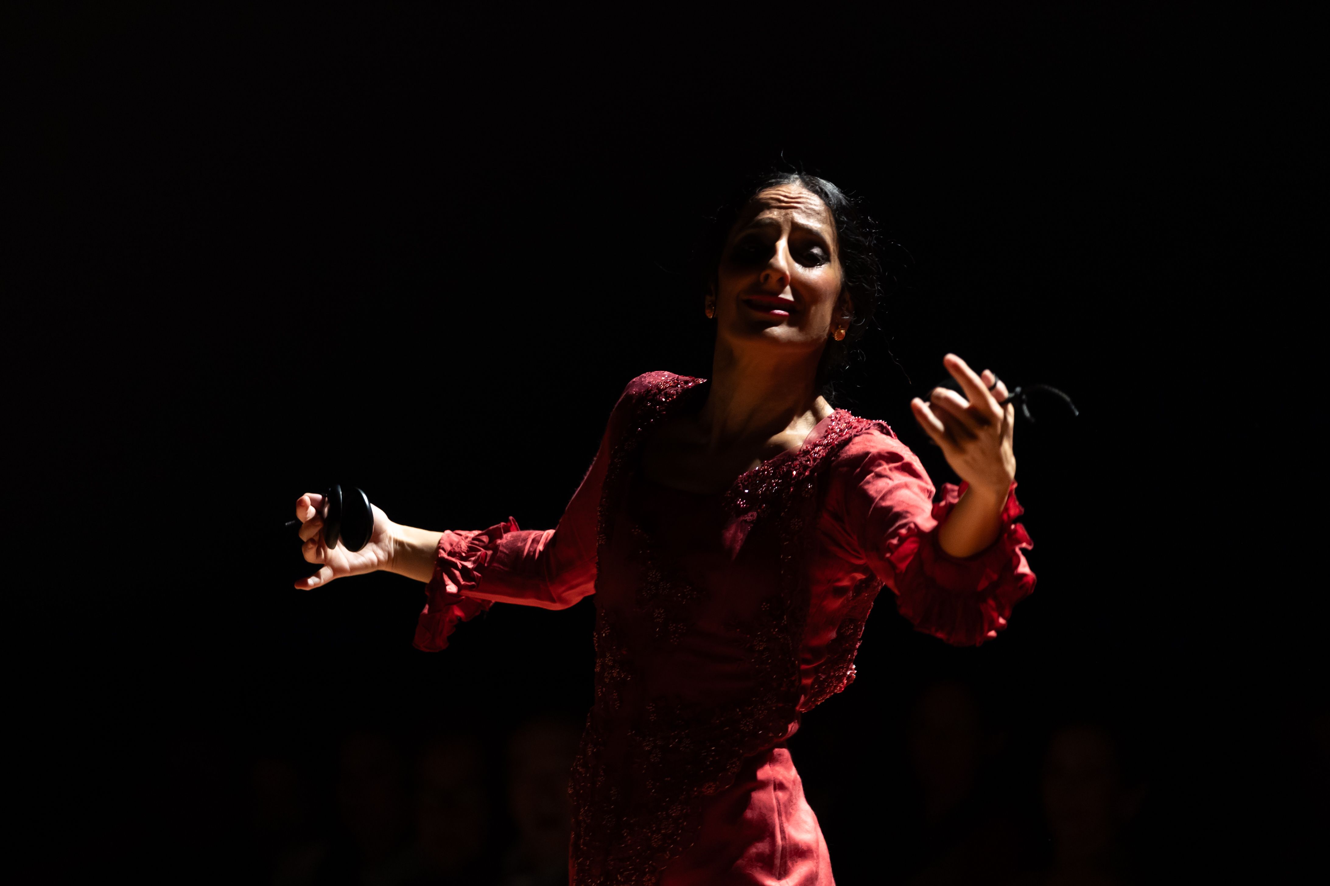 Gala de entrega de los Premios Nacionales de Flamenco de la Cátedra de Flamencología de Jerez Gala de entrega de los Premios Nacionales de Flamenco de la Cátedra de Flamencología de Jerez