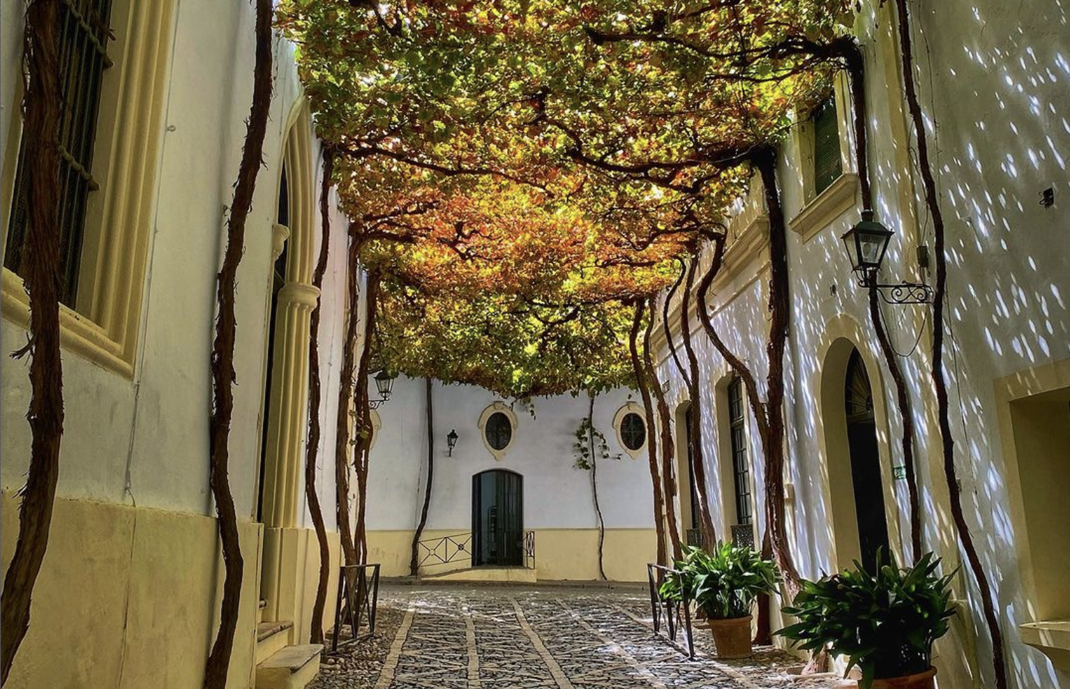 Calle Ciegos, en González Byass, Jerez, en una imagen de David Clavijo.