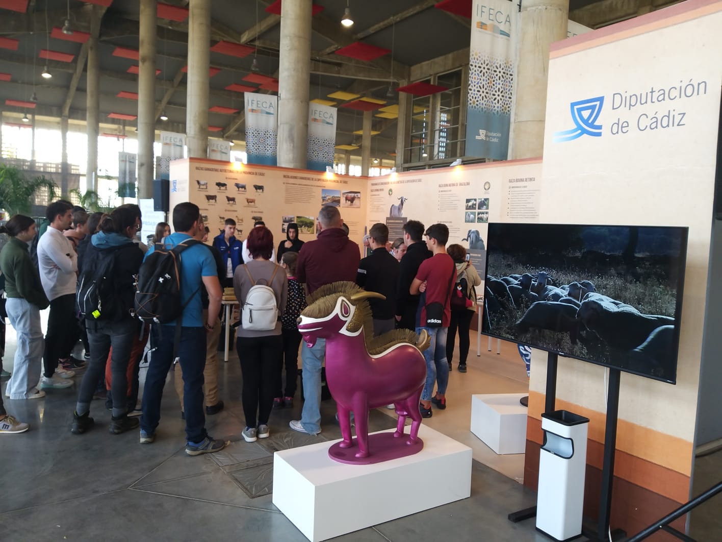 El stand de la Diputación en Fegasur visitado por escolares. El stand de la Diputación en Fegasur visitado por escolares.