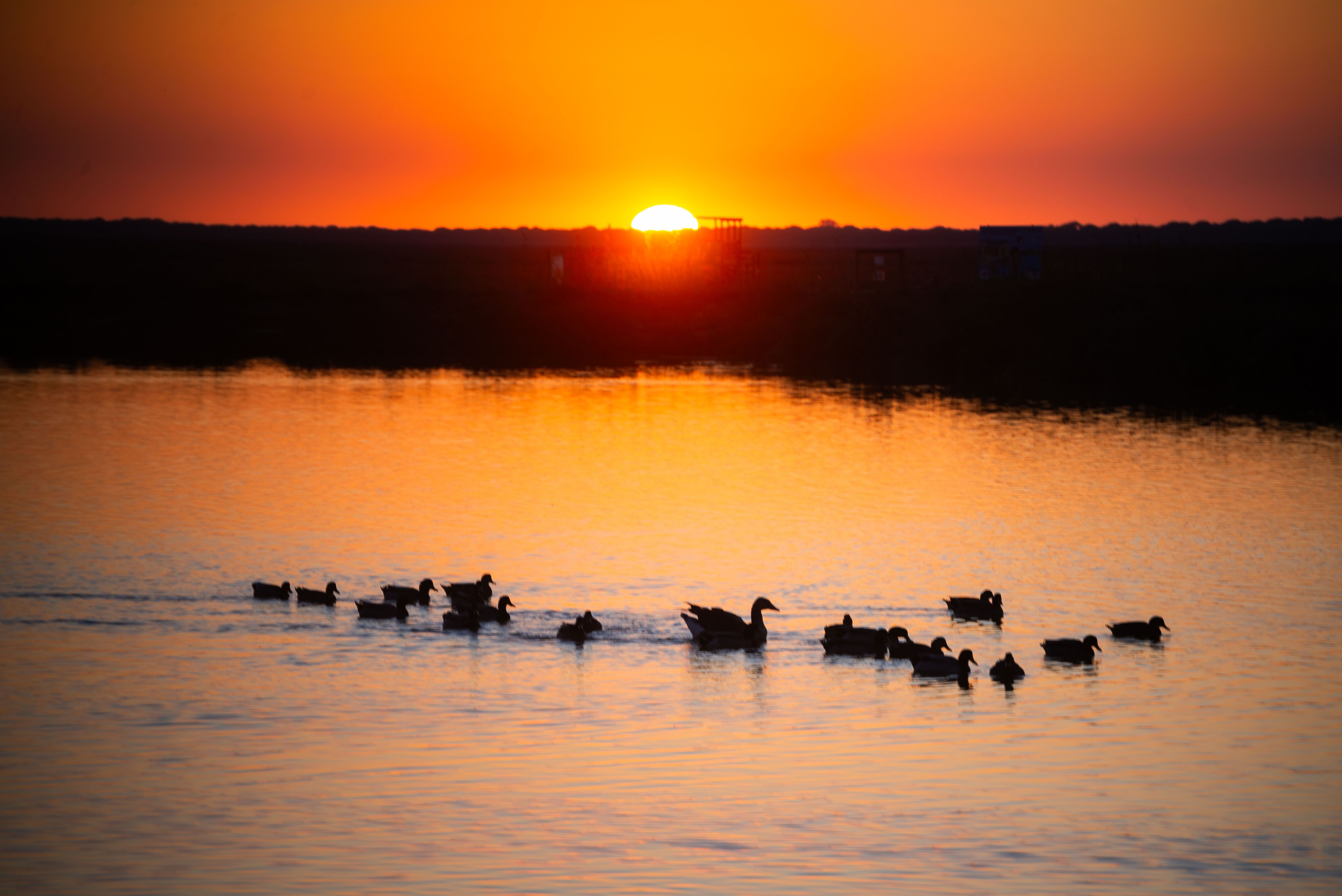 Vista al atardecer de una marisma de Trebujena.