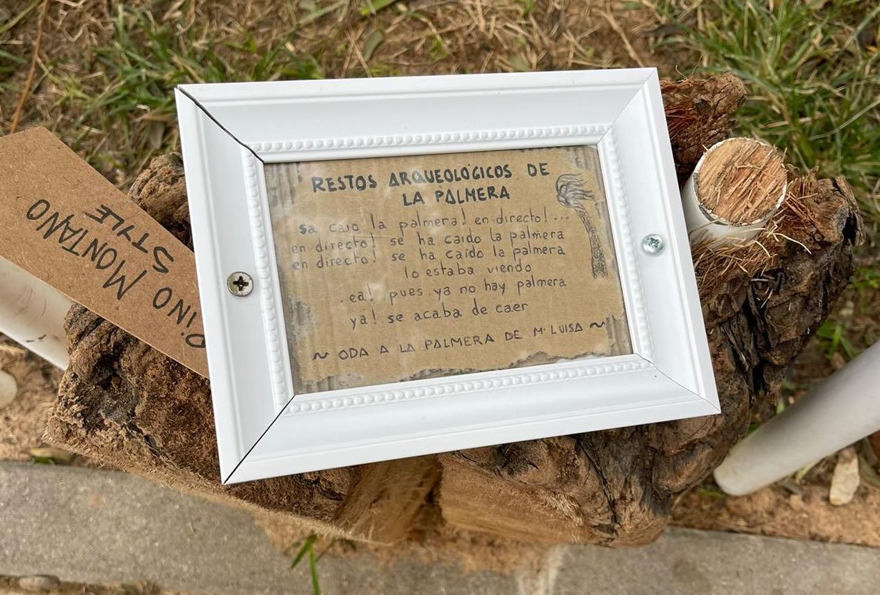Cartel en recuerdo de la palmera caída en Pino Montano.