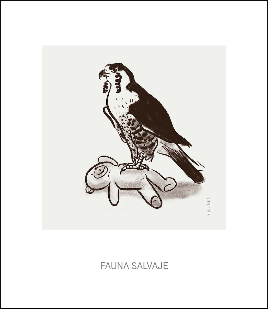 'Fauna', la viñeta de Miguel Parra.