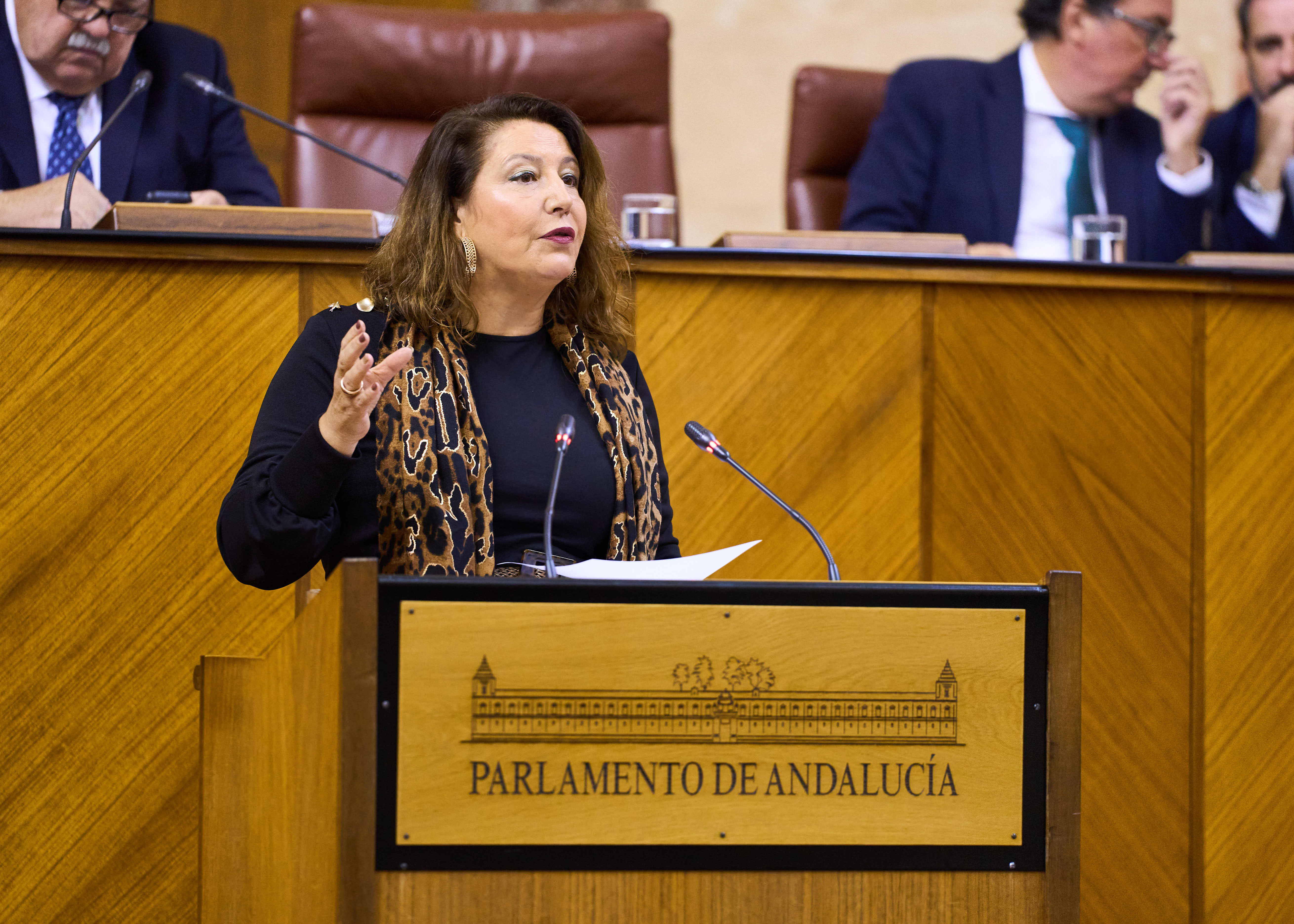 La consejera Carmen Crespo durante su intervención en el parlamento. 