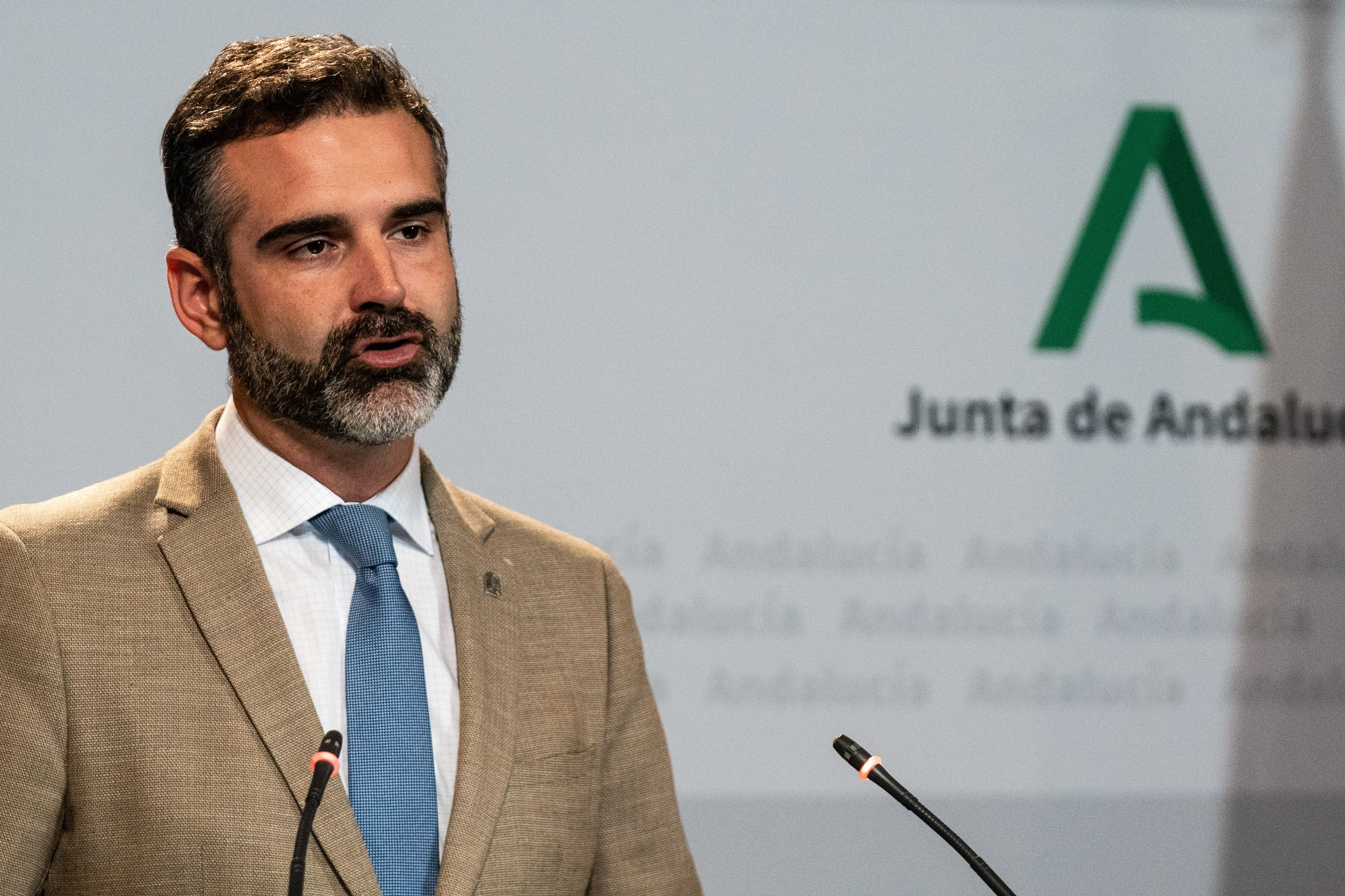 Ramón Fernández-Pacheco, portavoz de la Junta.