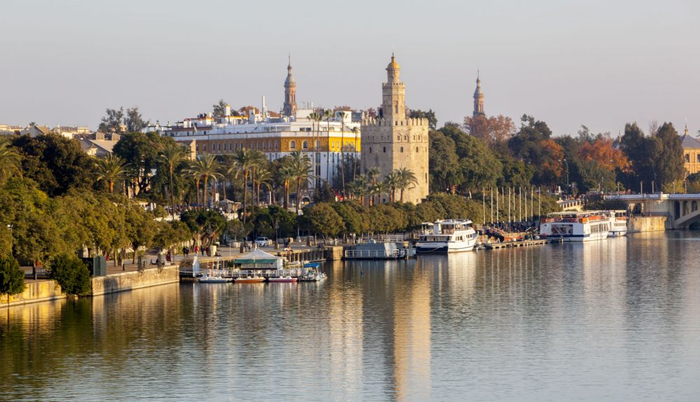 4386 8E23338D8BB92E2A SE Torre del Oro 7