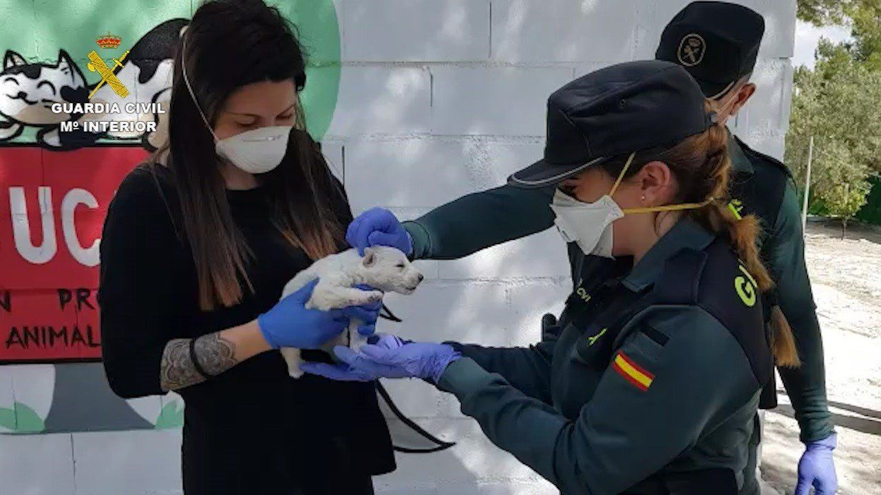 La Guardia Civil, con un cachorro.